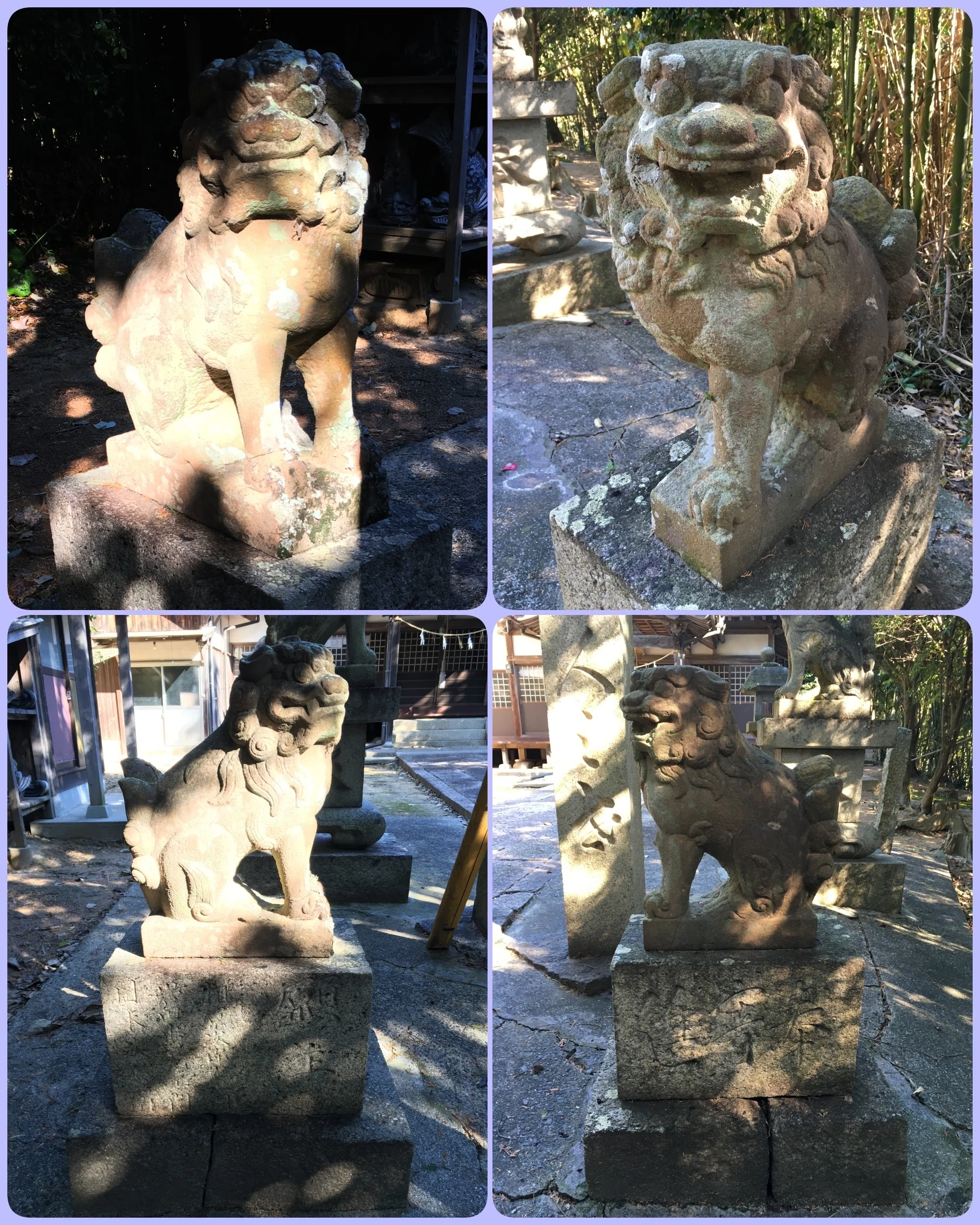 山口県平生町 百済部神社の狛犬｜藤井克浩