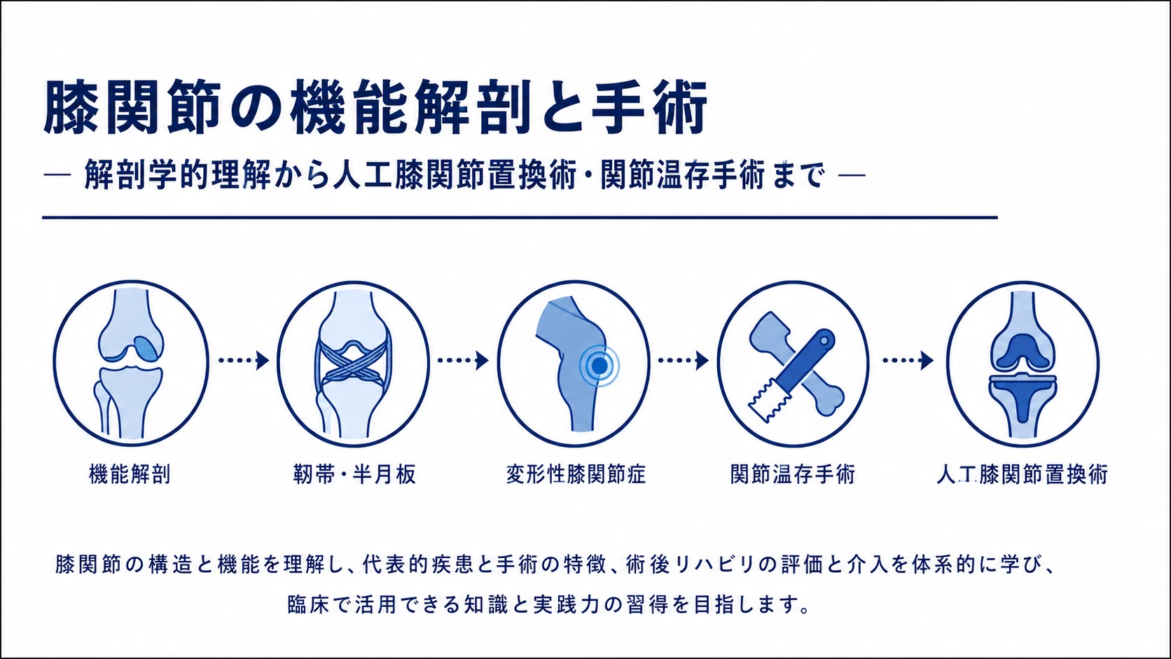 理学療法士・医療従事者向け】膝関節の機能解剖と手術完全ガイド｜人工