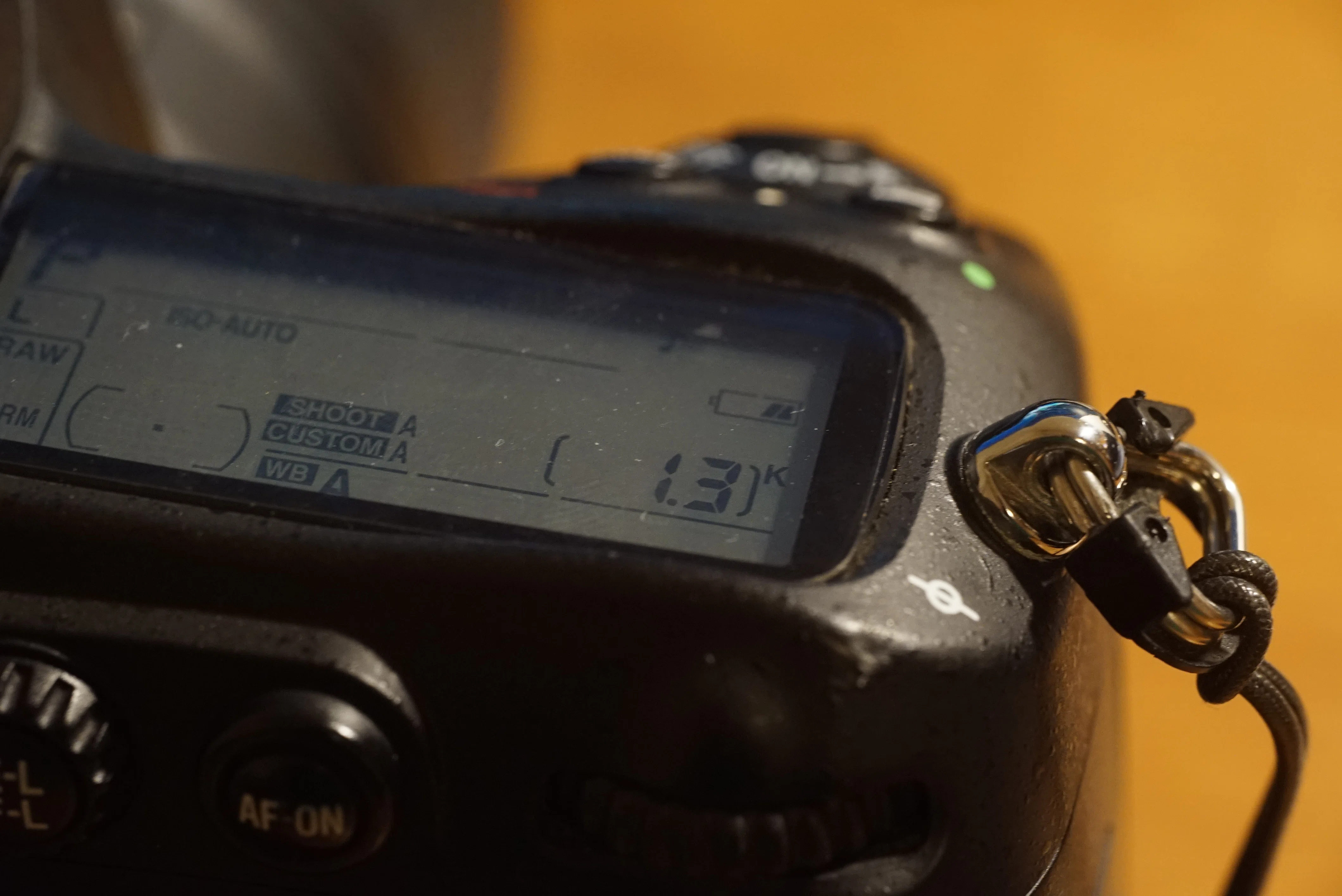 Nikon D300にSDXC用CF変換アダプターを使う｜アトリエデルタ