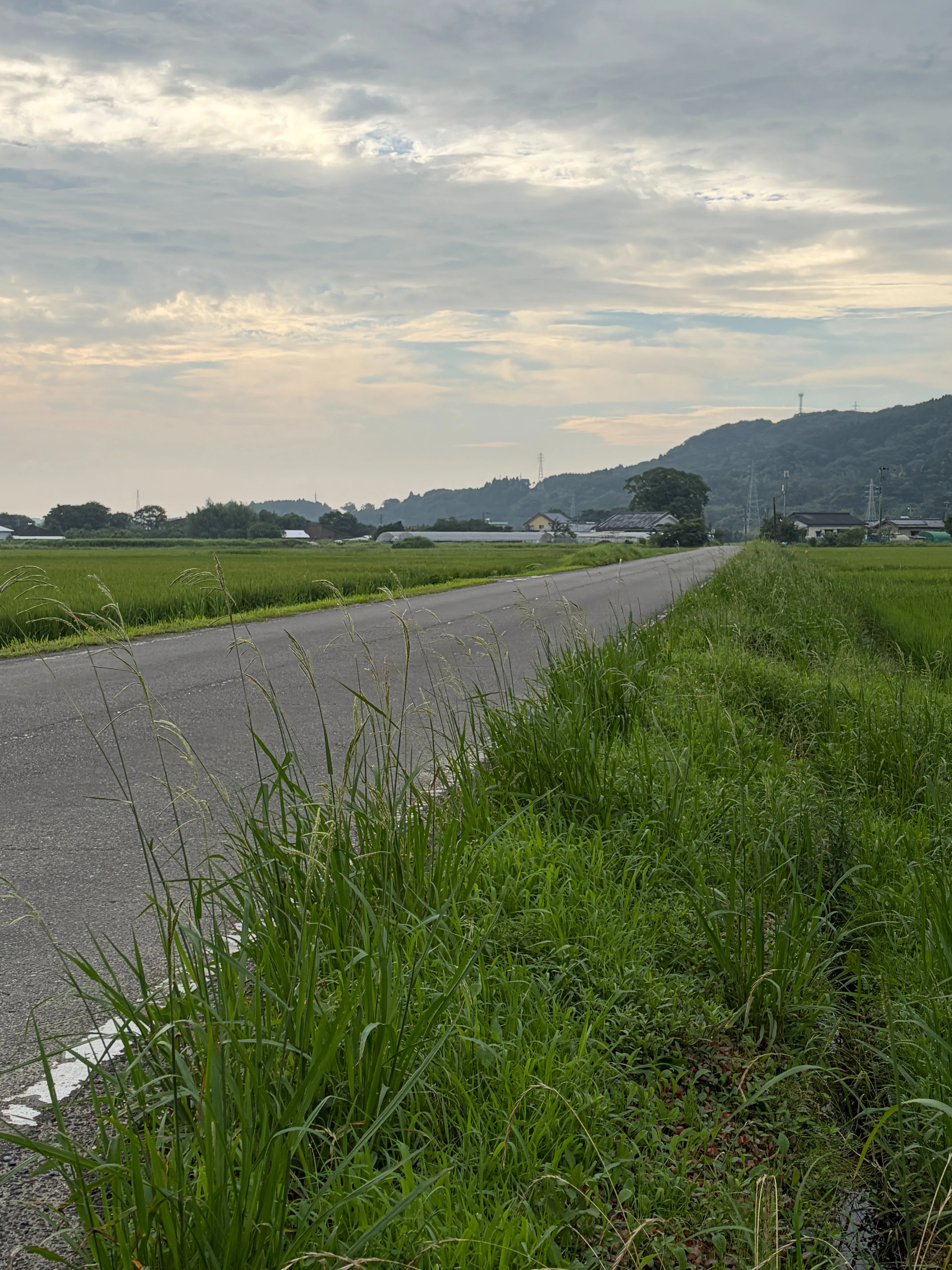 木城の風景・今日の言葉6月26日（金）｜宮崎県木城町