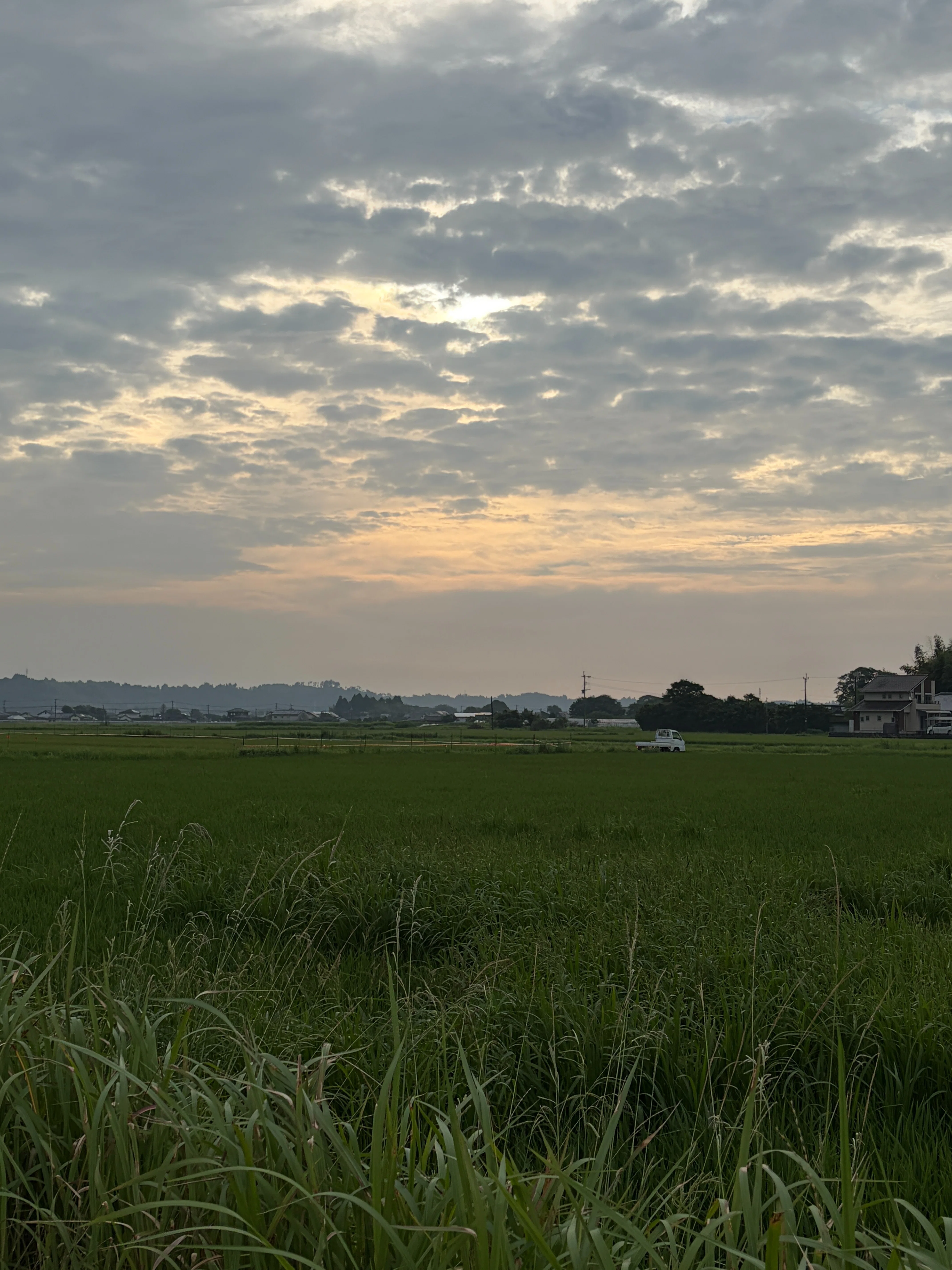 木城の風景・今日の言葉6月26日（金）｜宮崎県木城町