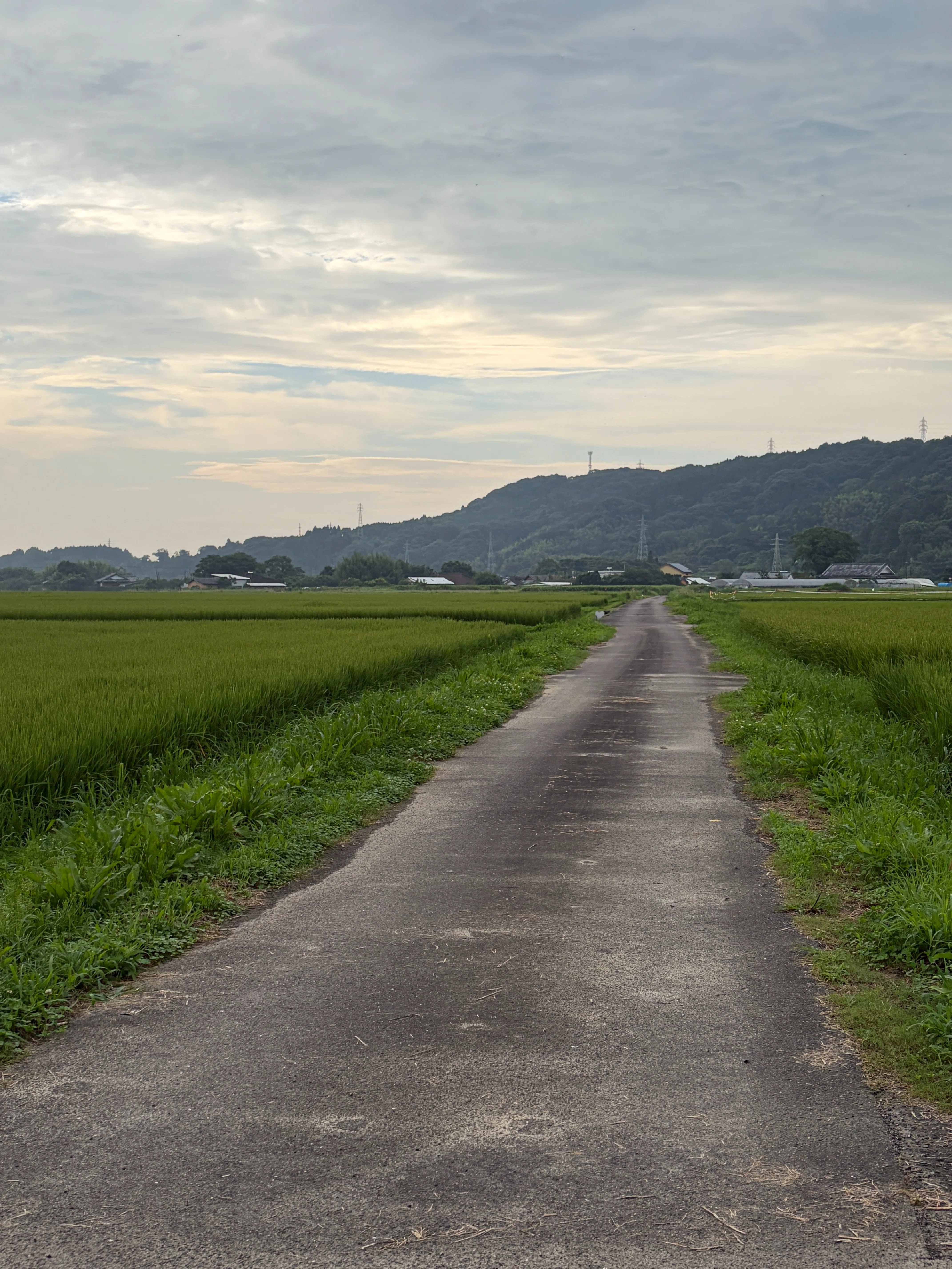 木城の風景・今日の言葉6月26日（金）｜宮崎県木城町