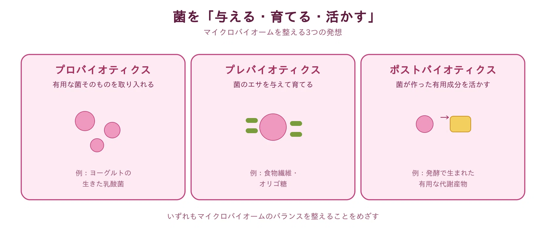 肌と食卓の「見えない住人」たち｜山口昌雄｜バイオインフォマティクス