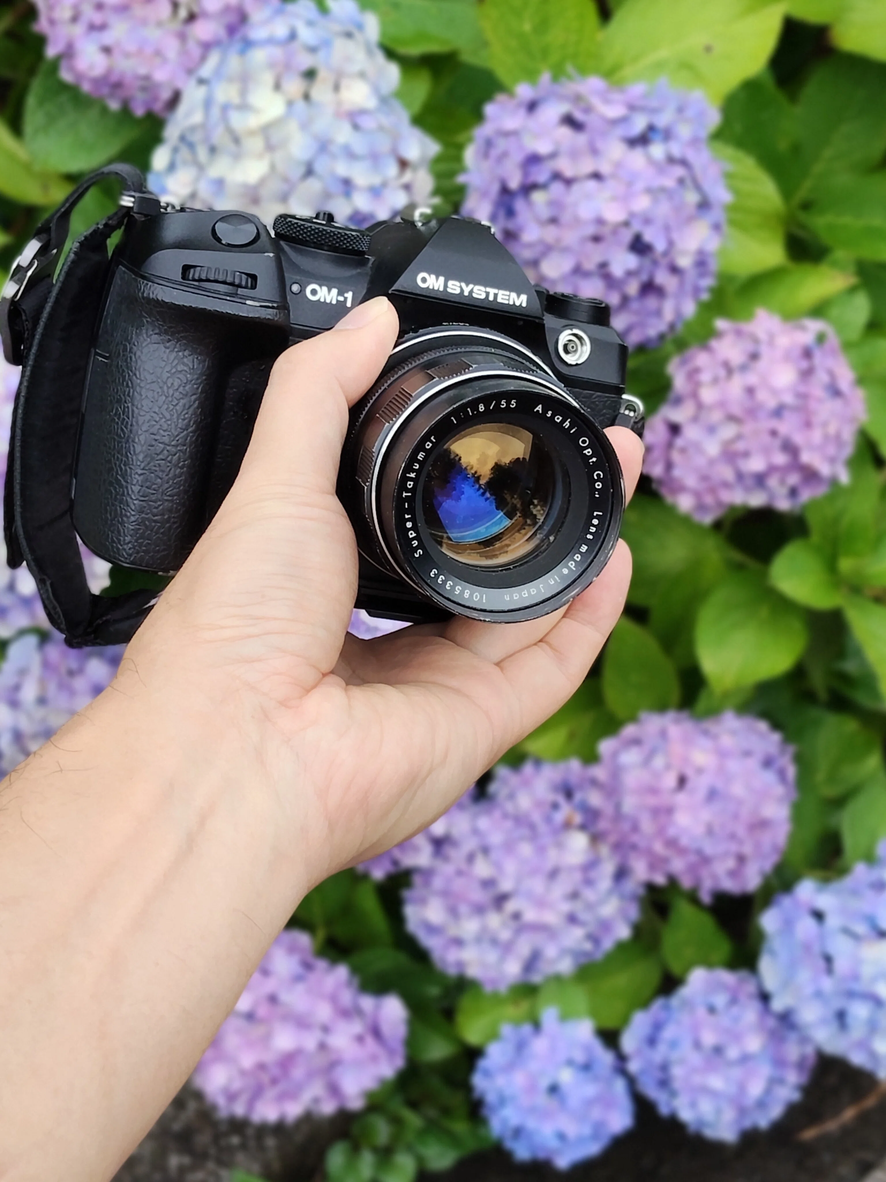 OM-1だから楽しめる。オールドレンズが花を優しく変える魔法｜om_fun