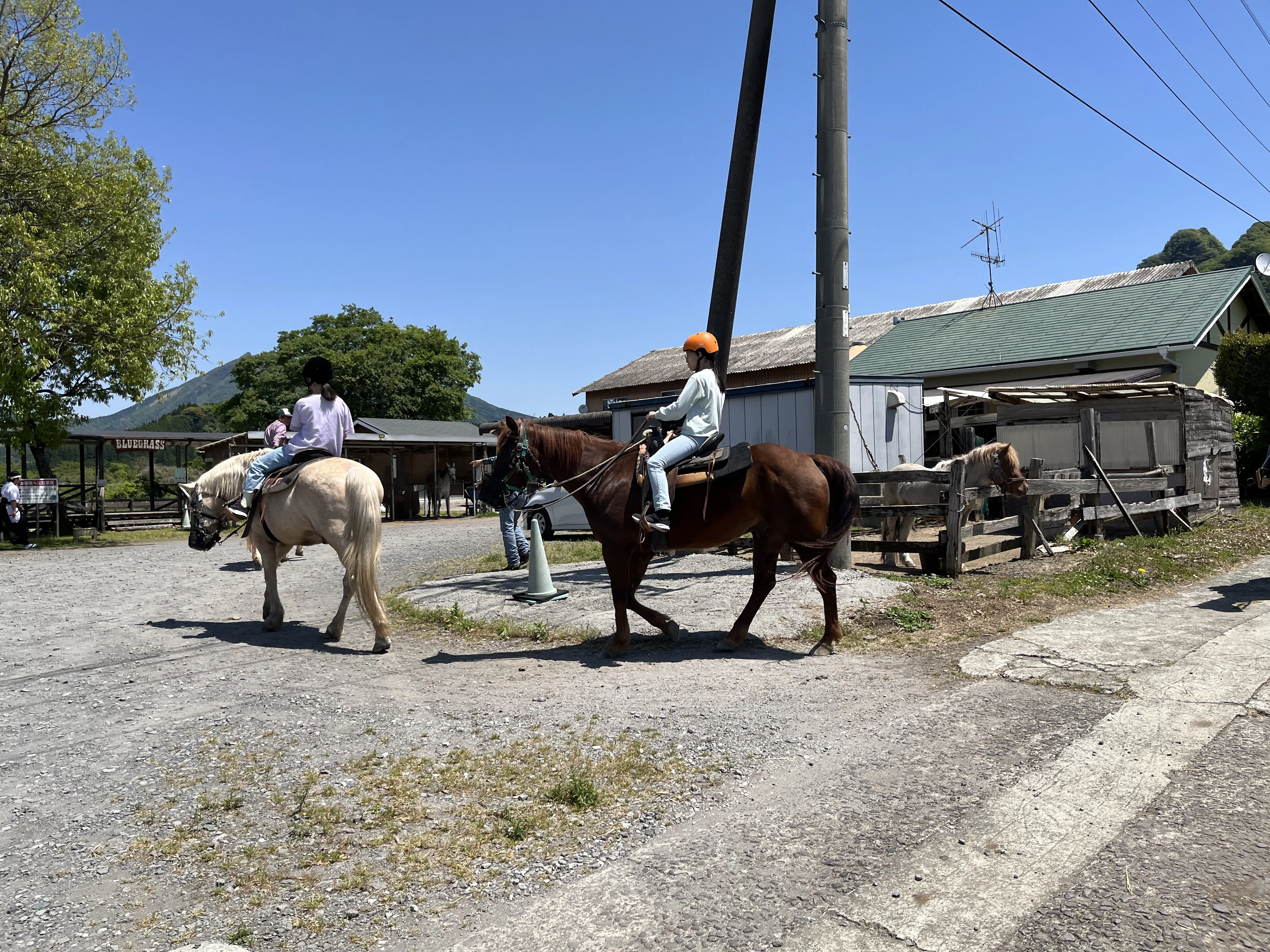 阿蘇・高森町で学んだ馬を操るコツ(みどり記者)｜くまモン記者団