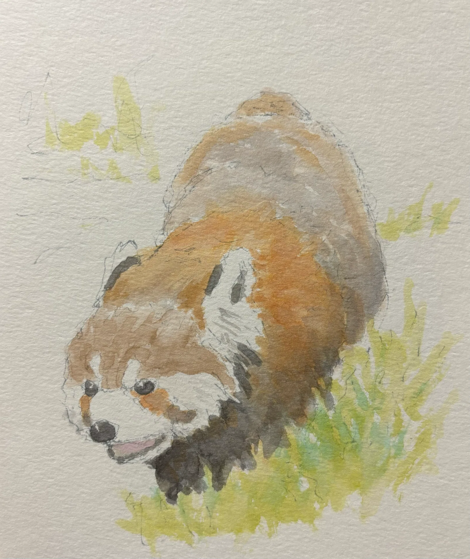 動物園｜nemnem4646