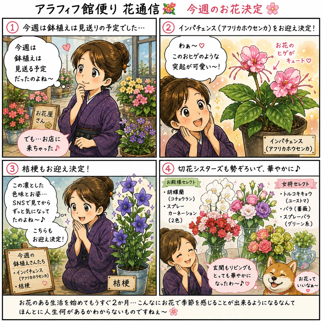 アラフィフ館便り 花通信💐】今週のお花決定🌸｜TUKUSHI