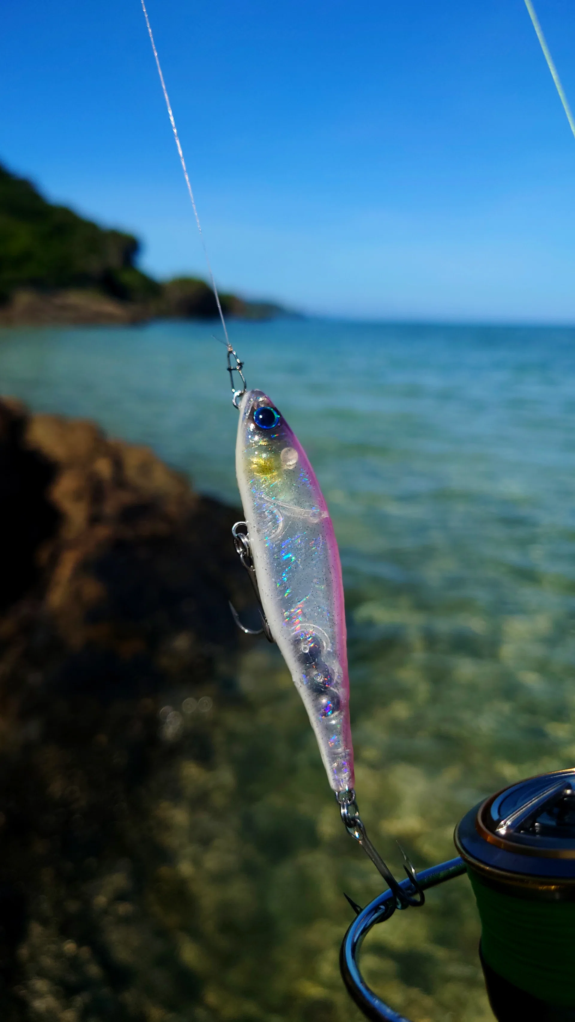 琵琶湖北湖】アフタースポーンの飽食バスを狂わせる「ペンシルベイト