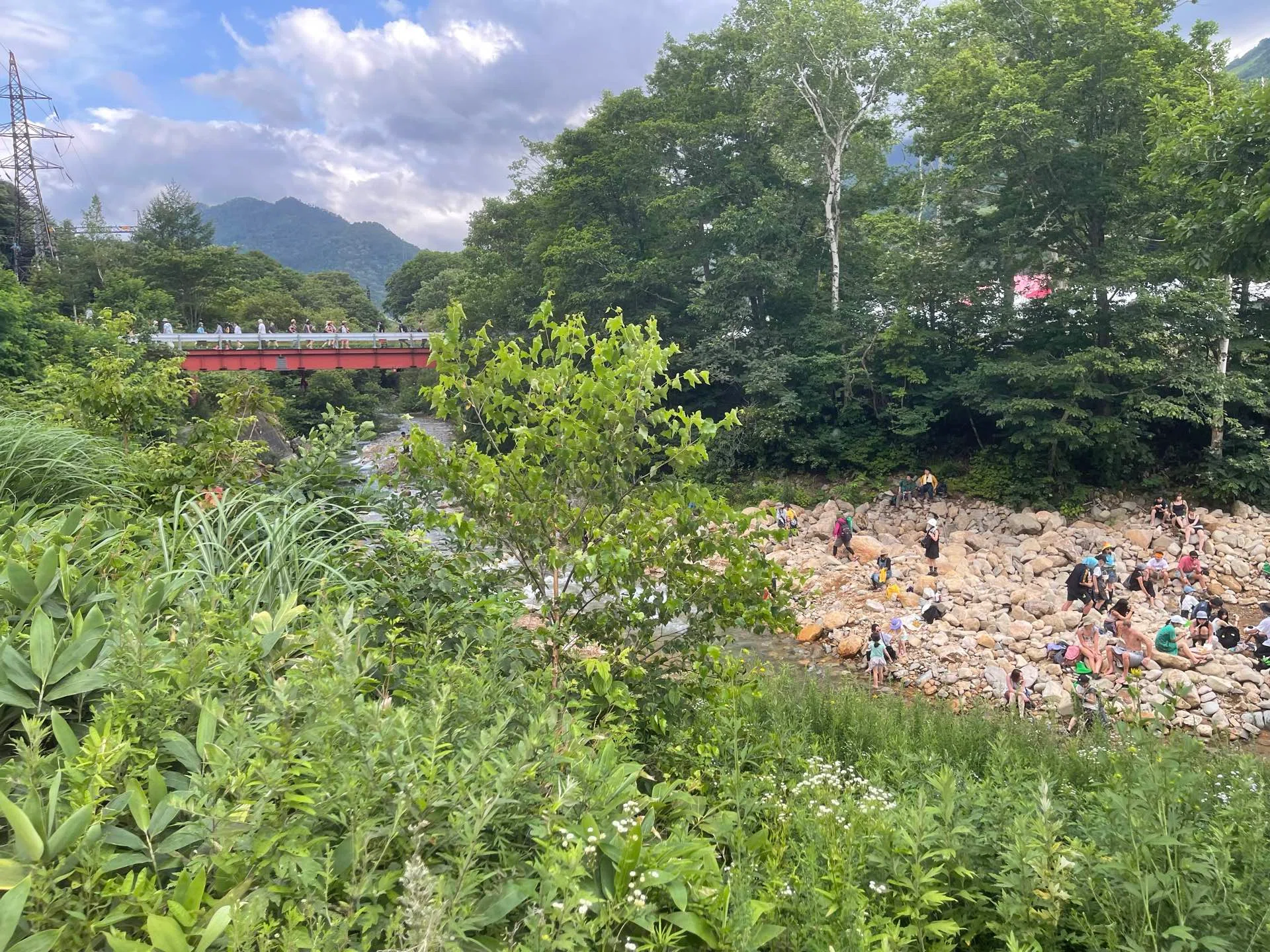 ひとりでも、フジロック'26に行く。｜Sakaida
