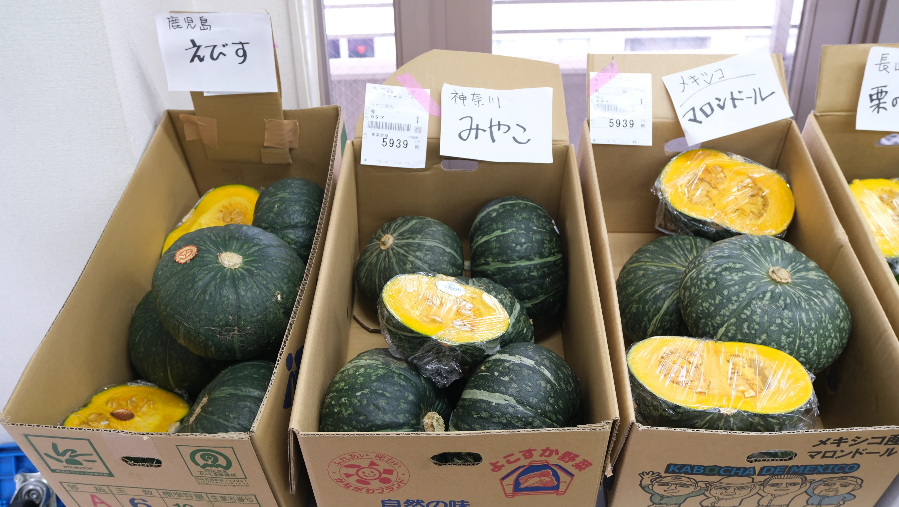 八百屋塾レポート】 勉強品目：かぼちゃ（2026/6/21開催）｜八百屋塾