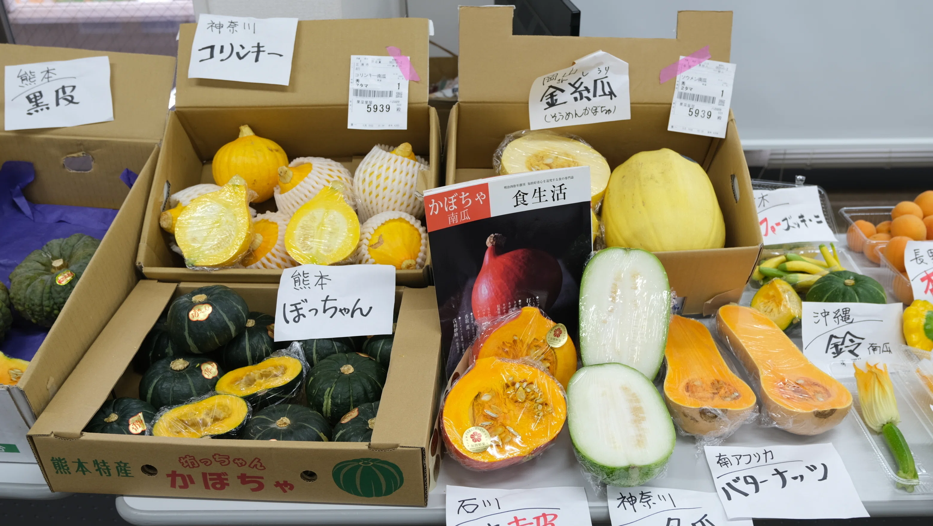 八百屋塾レポート】 勉強品目：かぼちゃ（2026/6/21開催）｜八百屋塾