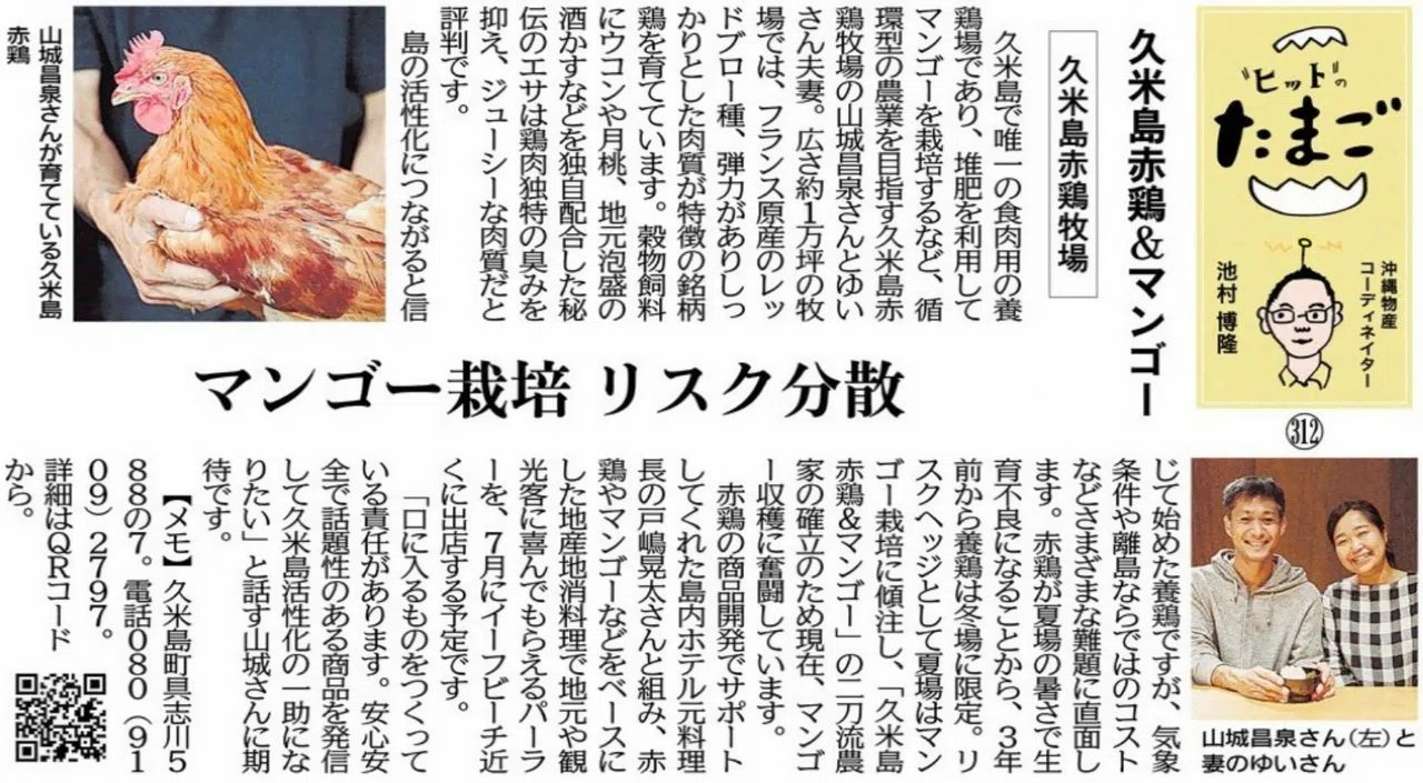 "ヒット"のたまご 久米島赤鶏＆マンゴー 久米島赤鶏牧場 マンゴー栽培 リスク分散