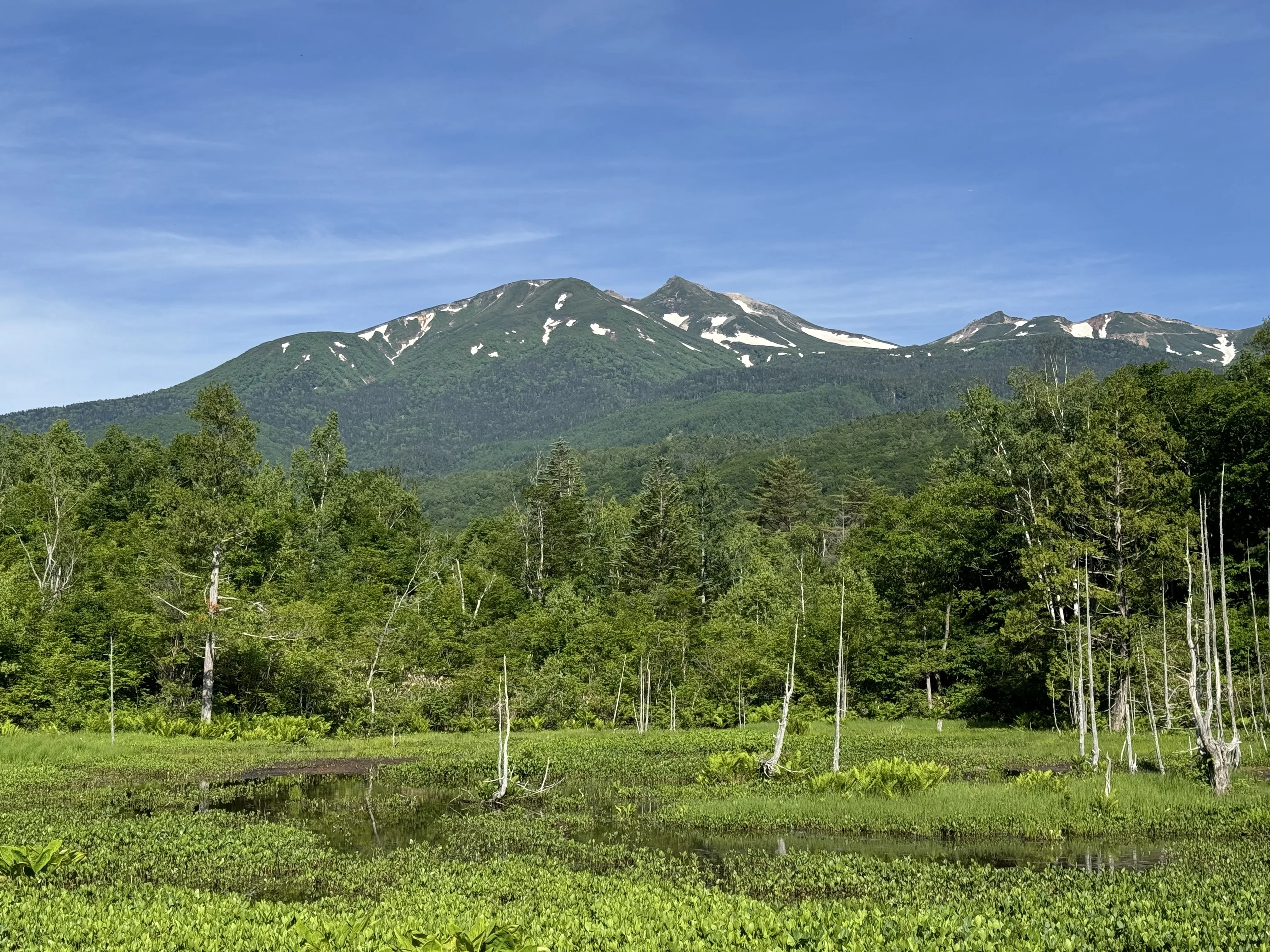 Could it even rival Mt. Fuji!? How about climbing Mt. Norikura