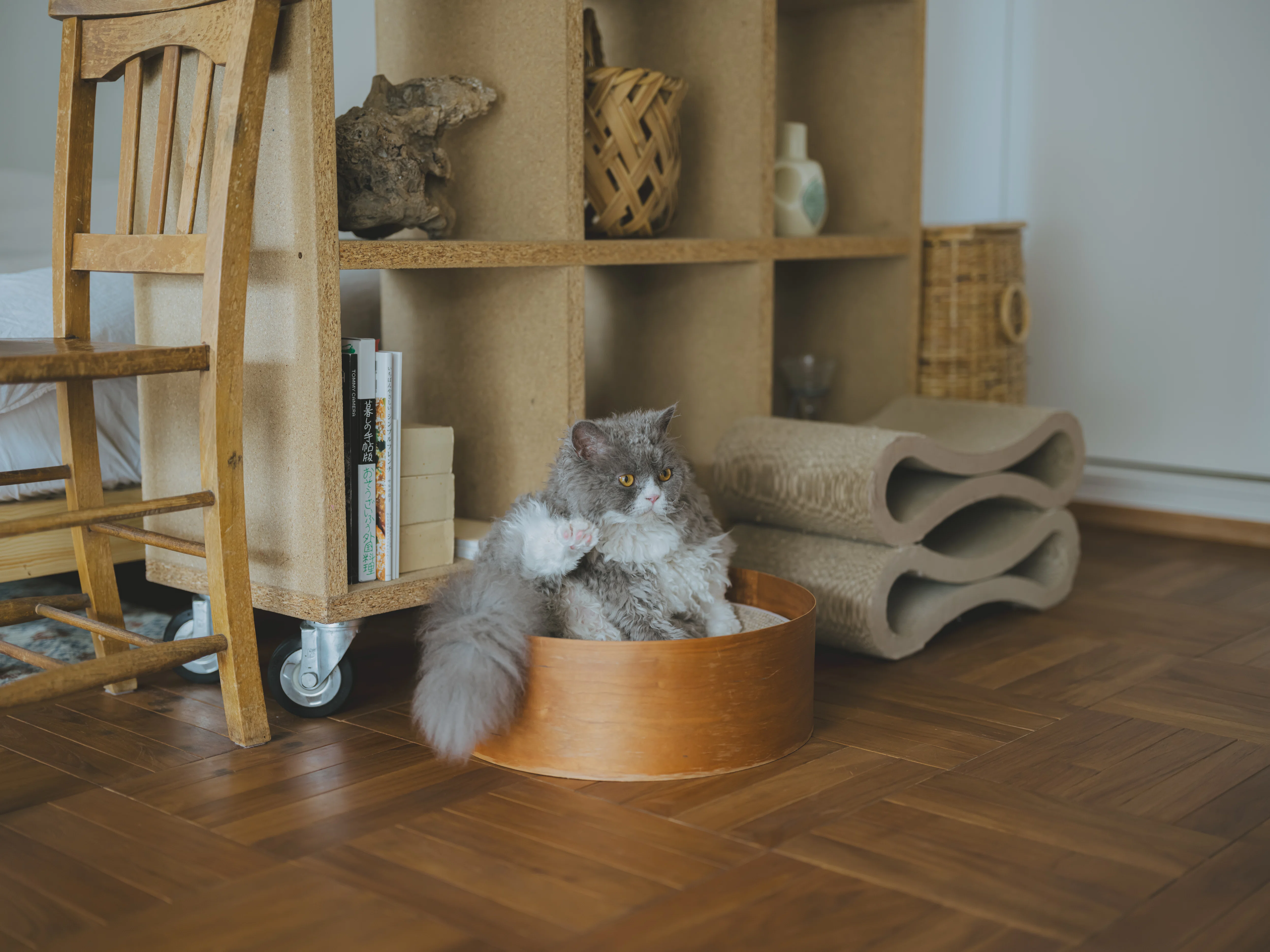 暮らしに溶け込む「猫のためのベッド」｜住まいと暮らし図鑑 byつぼとる
