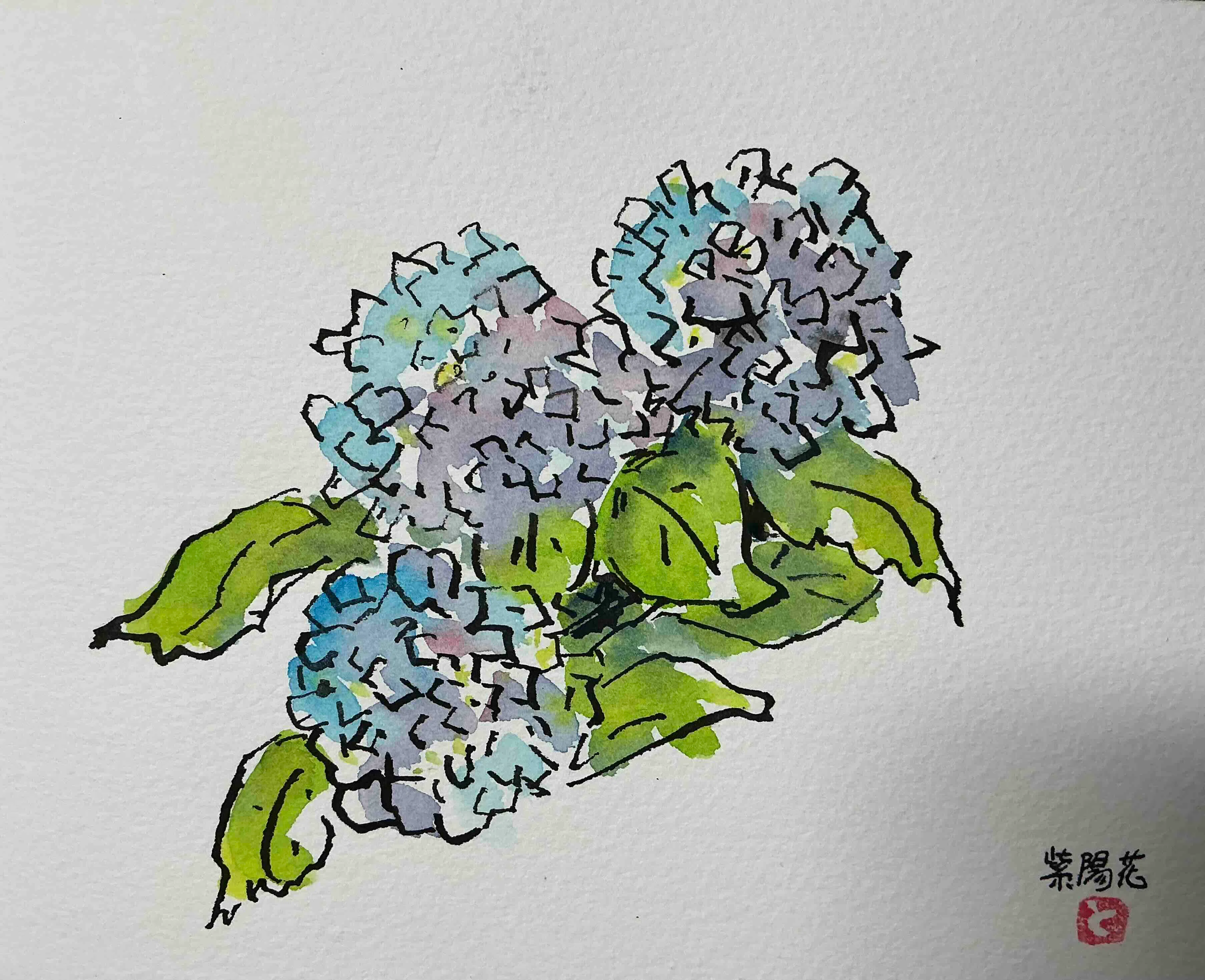 写実モノクロ画少女と紫陽花 紫陽花」いろいろ描いてみた｜水彩スケッチ帖
