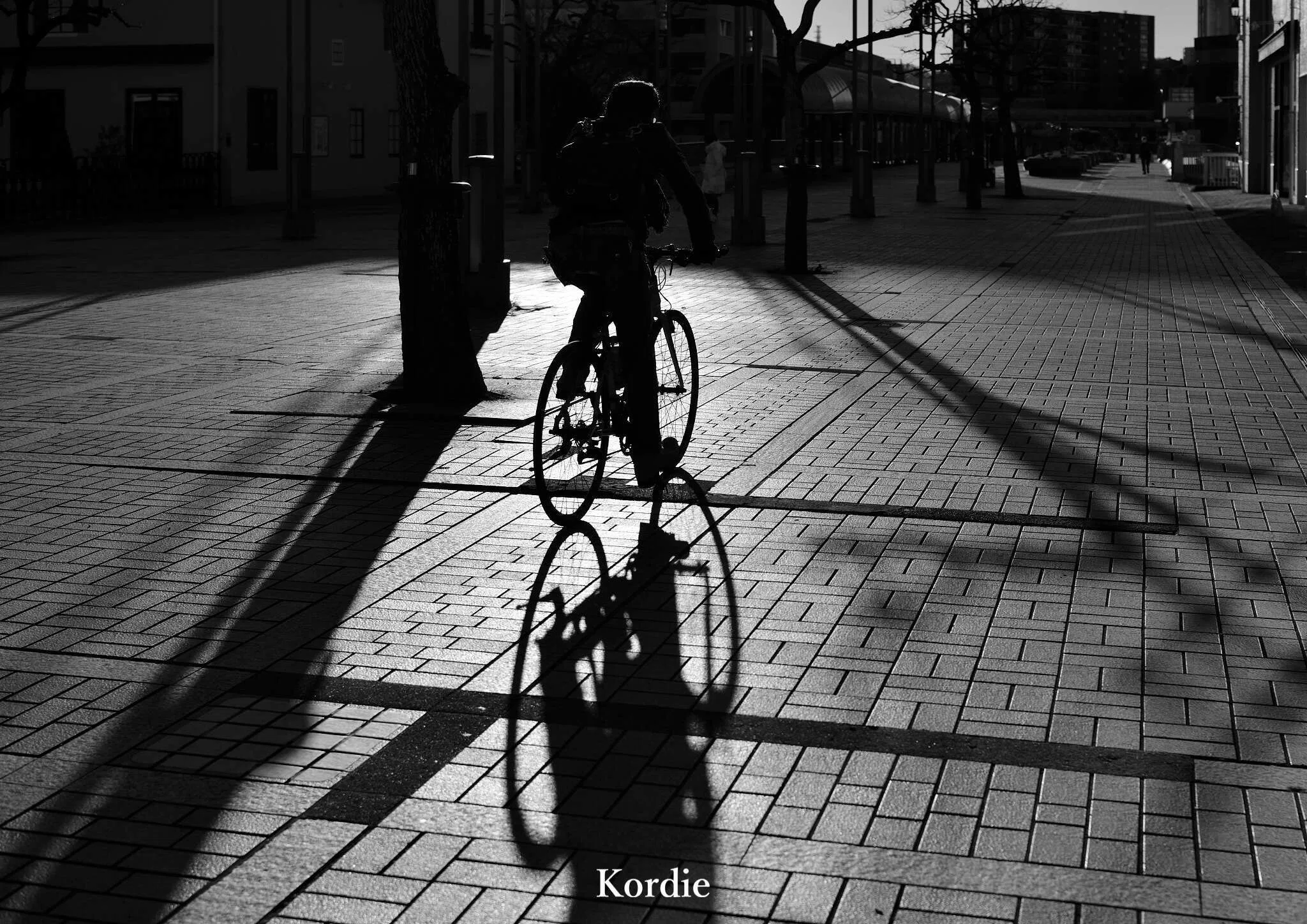 現像 #50】 The Monochrome写真展｜Kordie