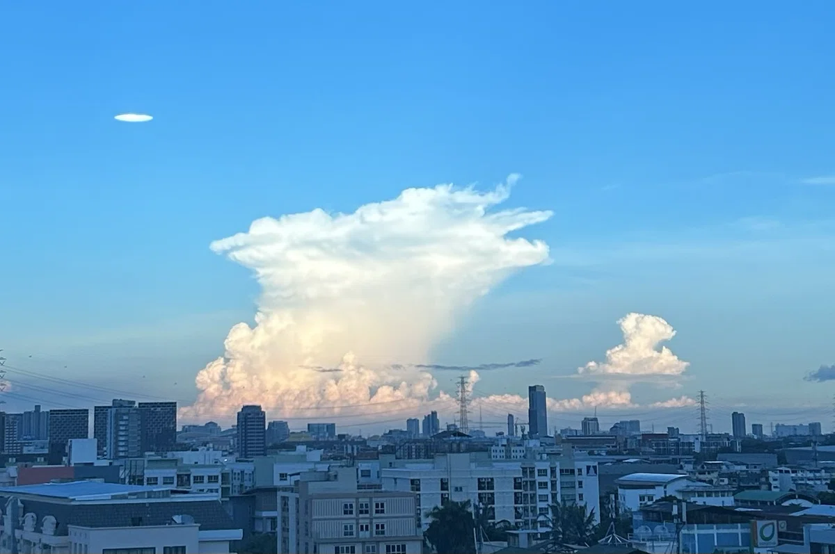 エリンギのような雲