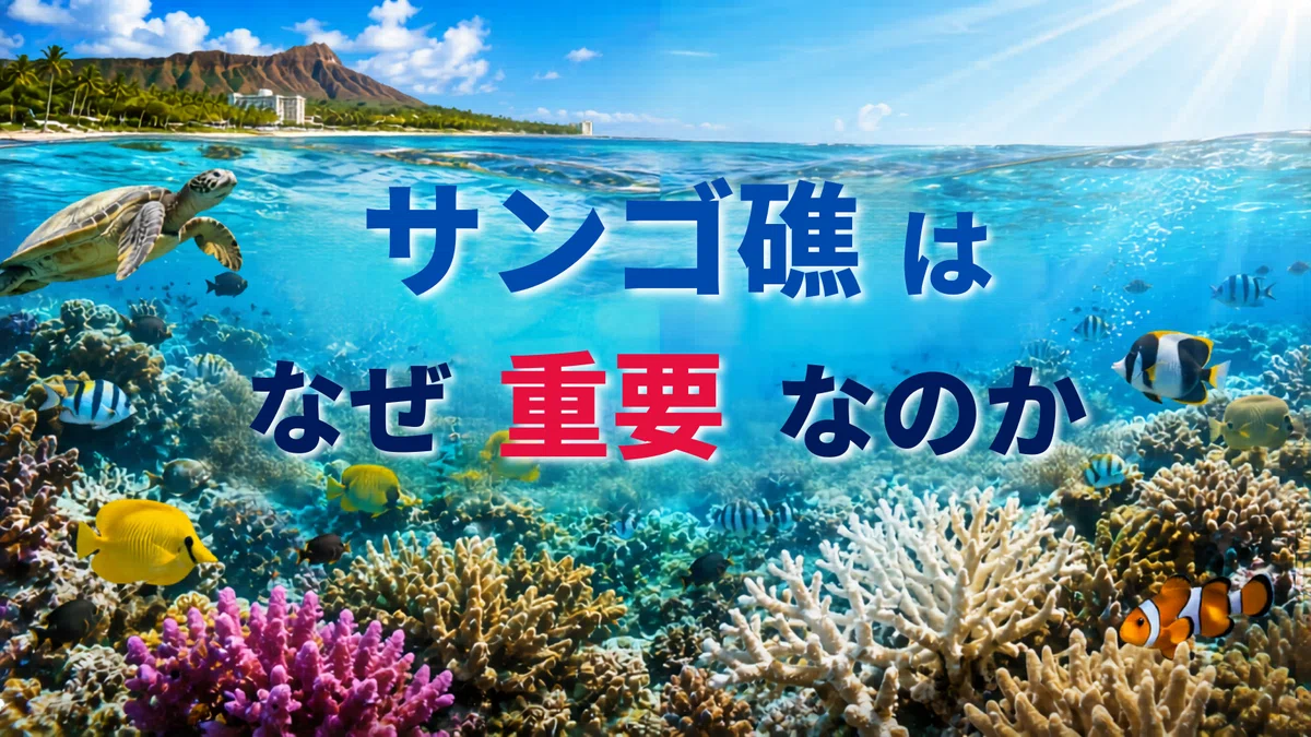 ハワイとサンゴ礁保護の歩み──条例・規制から読み解く“マラマハワイ