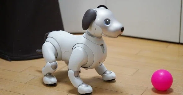 ソニー「aiboはやめません」──“次の開発”も明かす オーナーに「安