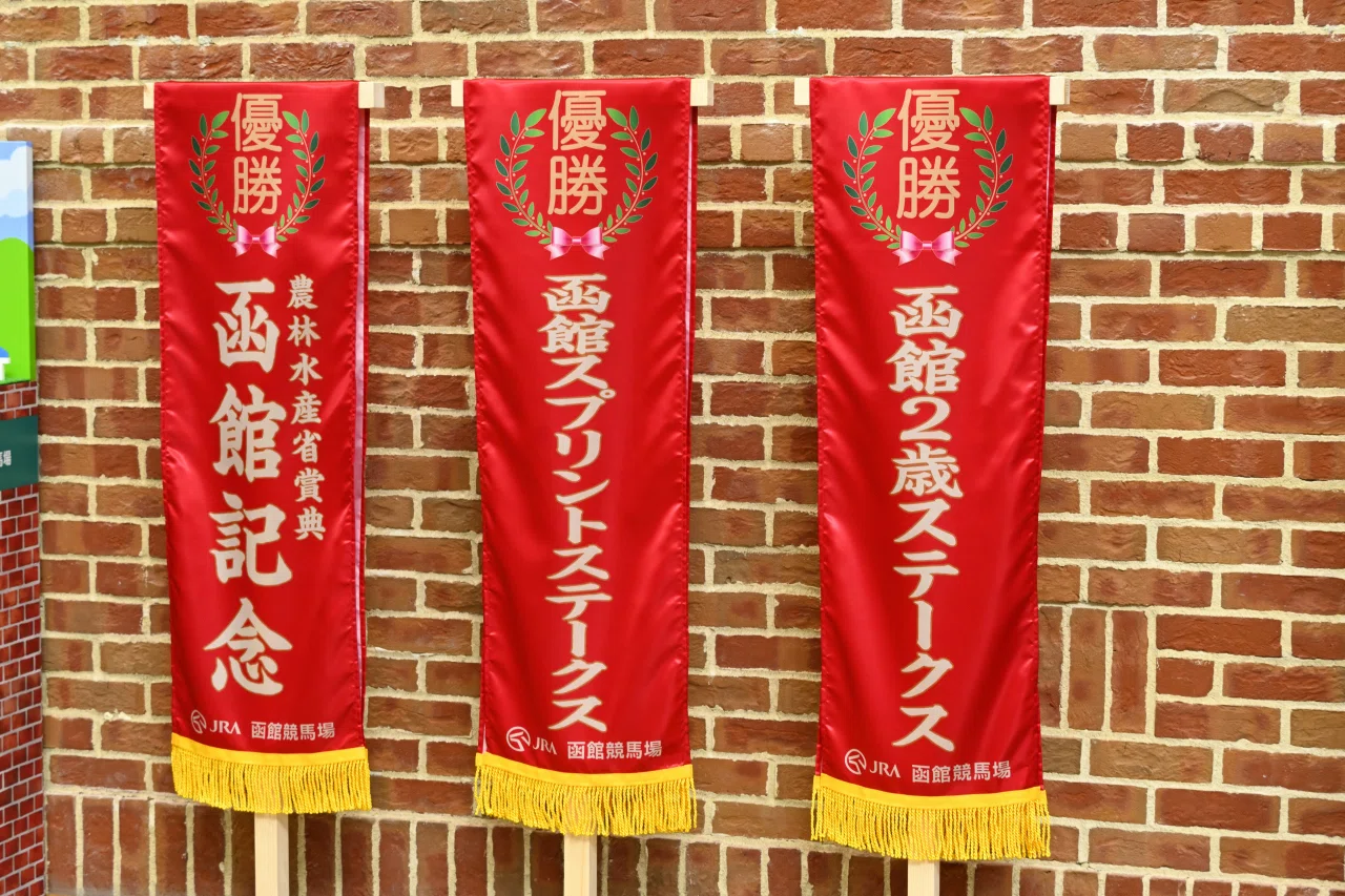 サッカーボーイとやきとり弁当～函館遠征こぼれ話｜洋芝