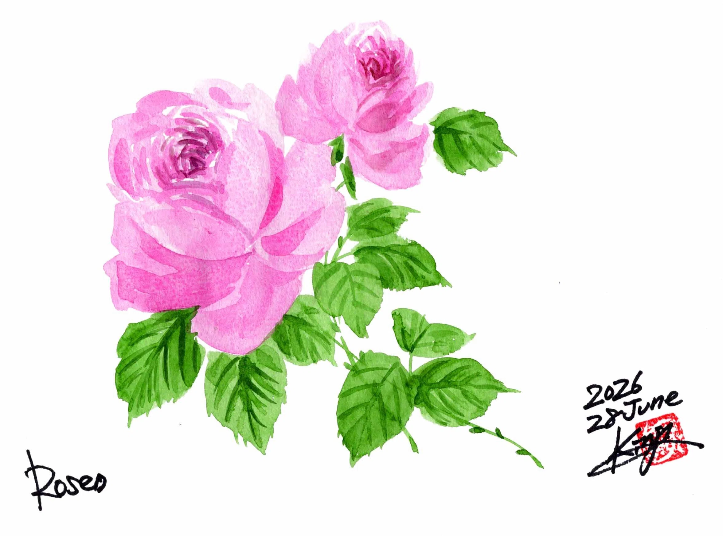 今夜も定番の薔薇でございます。｜kinta65
