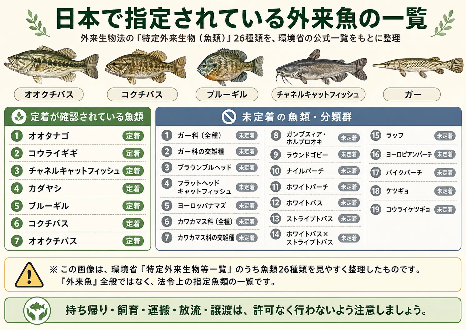 第2話前編】初めてのバス釣り｜ブラックバスのルール・外来魚・再放流 