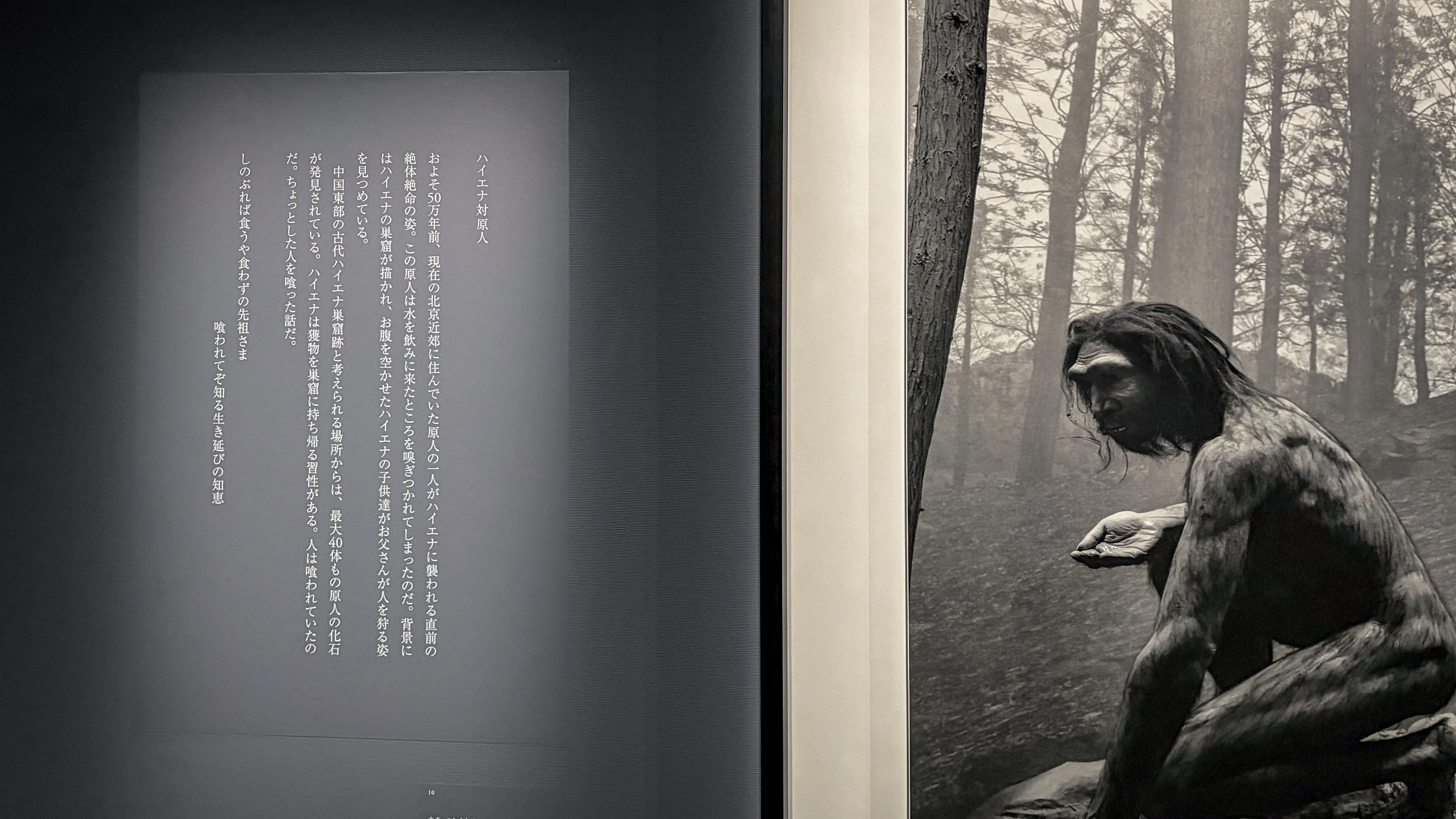 杉本博司『絶滅写真』展を鑑賞してきた｜MOJA MOJA