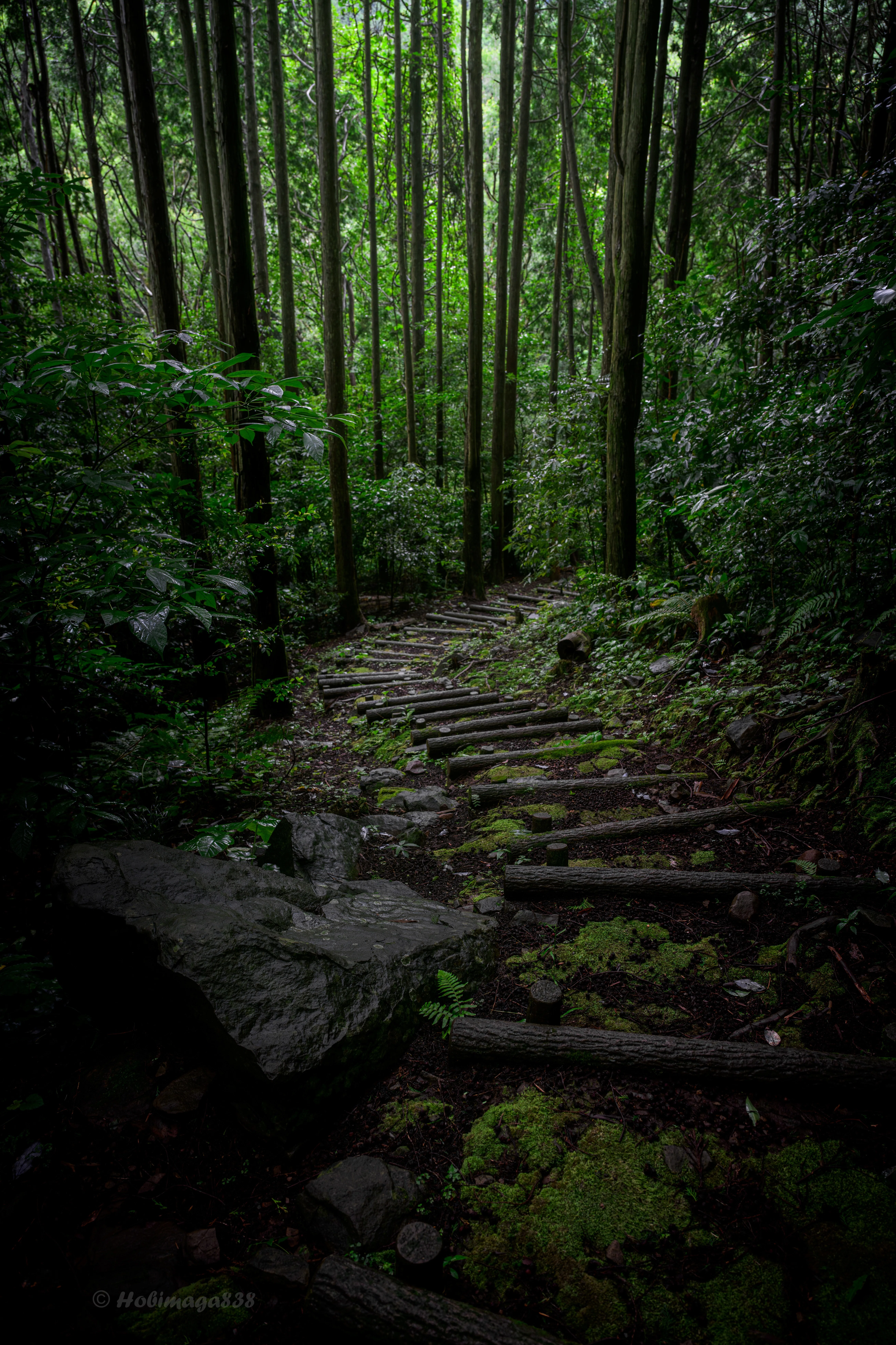 内なる風景 The scenery I finally encountered after two years｜ほびマガ