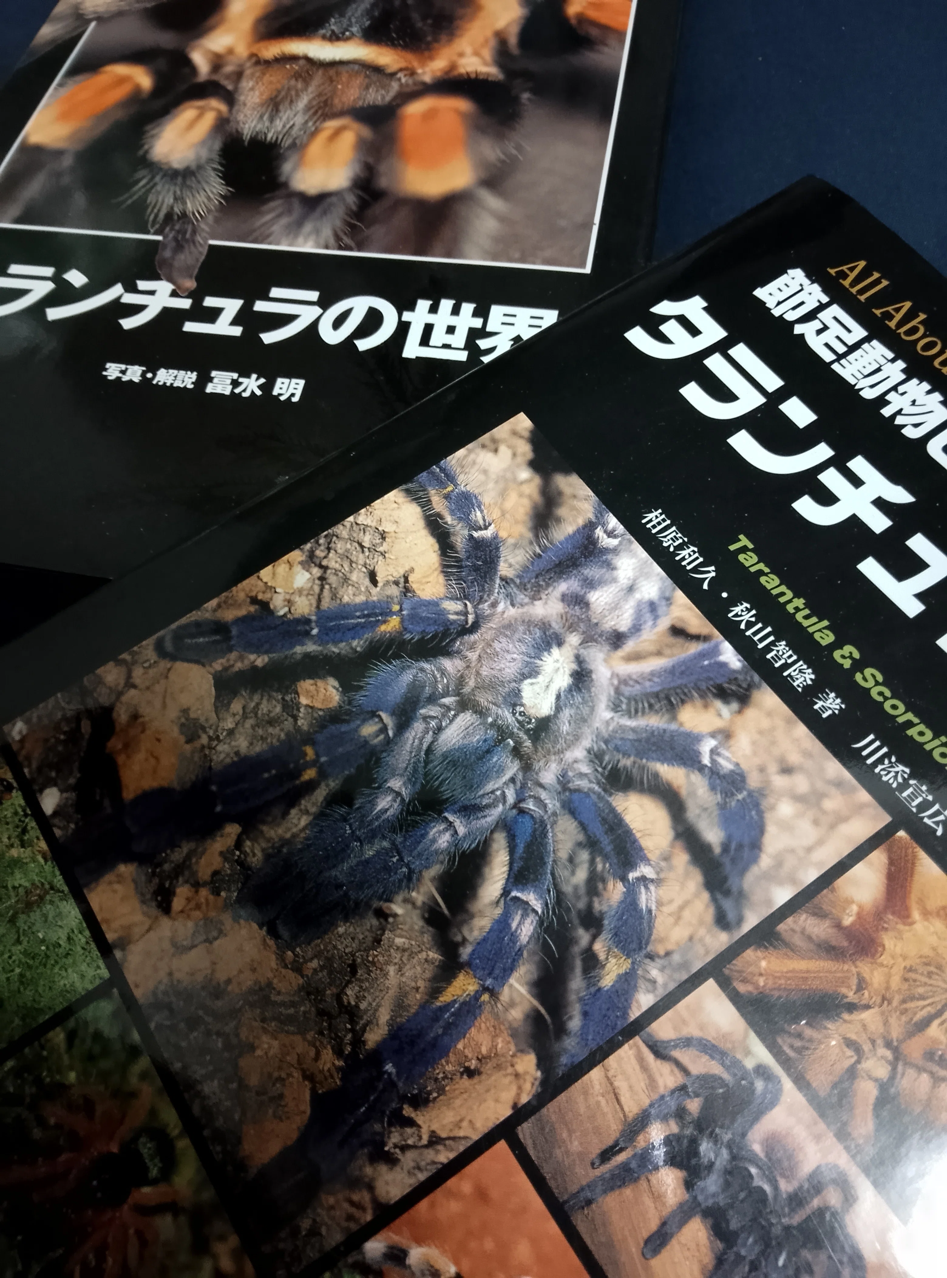 とまとまと様　おまとめ2冊　インド　タランチュラ　蜘蛛　クモ　India 洋書 虫注意】現代の飼育者ってどのタランチュラ文献を読んでいるの【蜘蛛