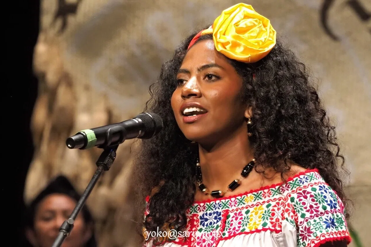 【異型アゲハ】ウラギンアゲハ ♂♀標本★中米メキシコ産★ 極稀♀赤化型 美麗貴重 オアハカ最大の祭り・ゲラゲッツァ2026の女神Diosa Centeotl決定！撮影