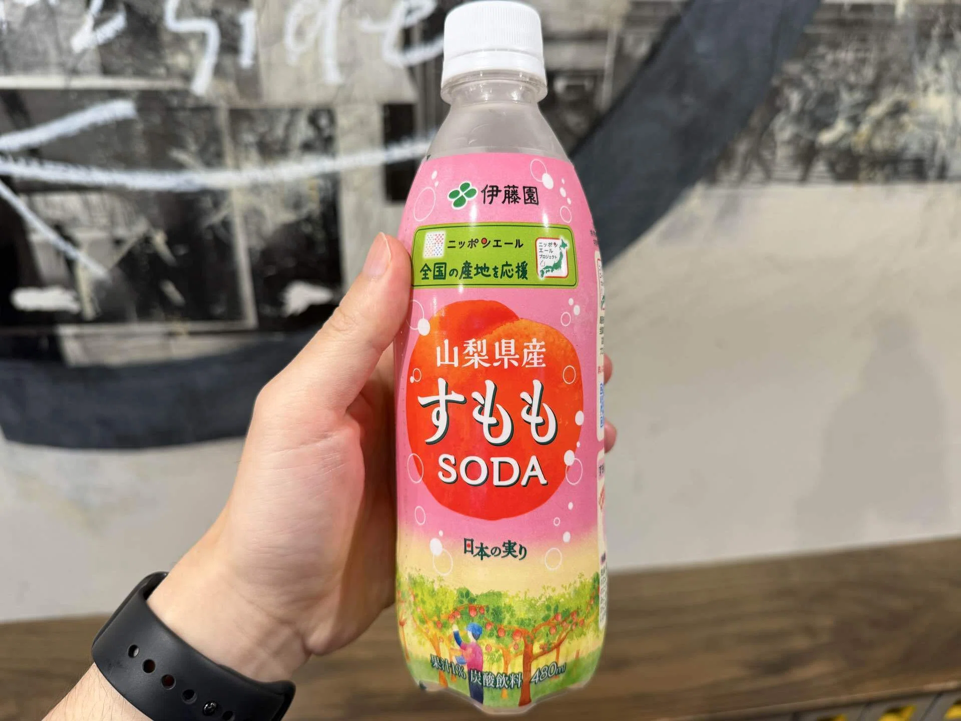 正直レビュー】伊藤園 すもも SODAが美味い｜fast_seal