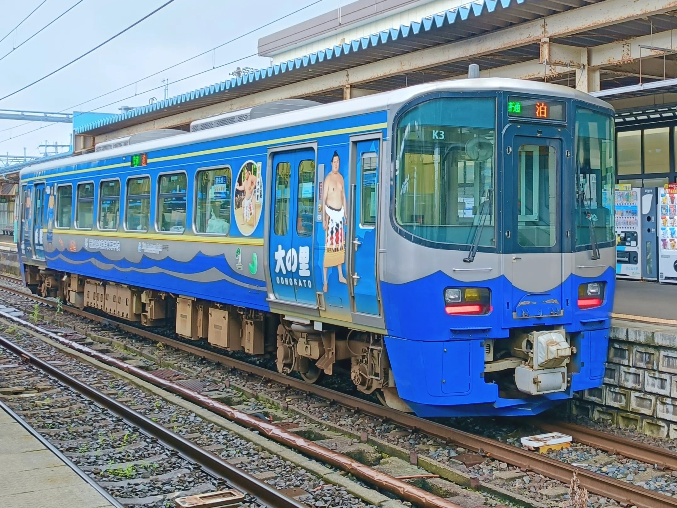 横綱 大の里が大迫力の鉄道車両 【えちごトキめき鉄道】 日本海ひすい