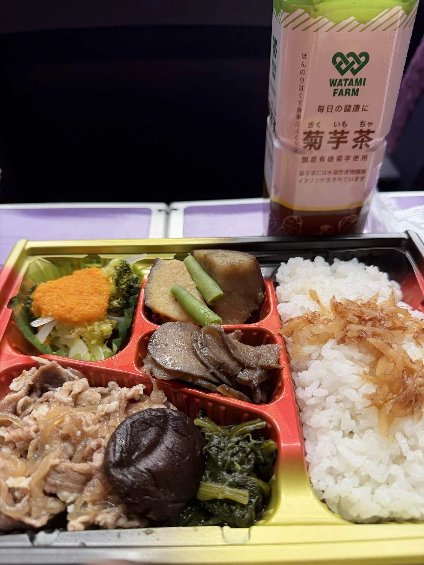 Attending the 40th Watami Shareholders' Meeting｜ひろみ