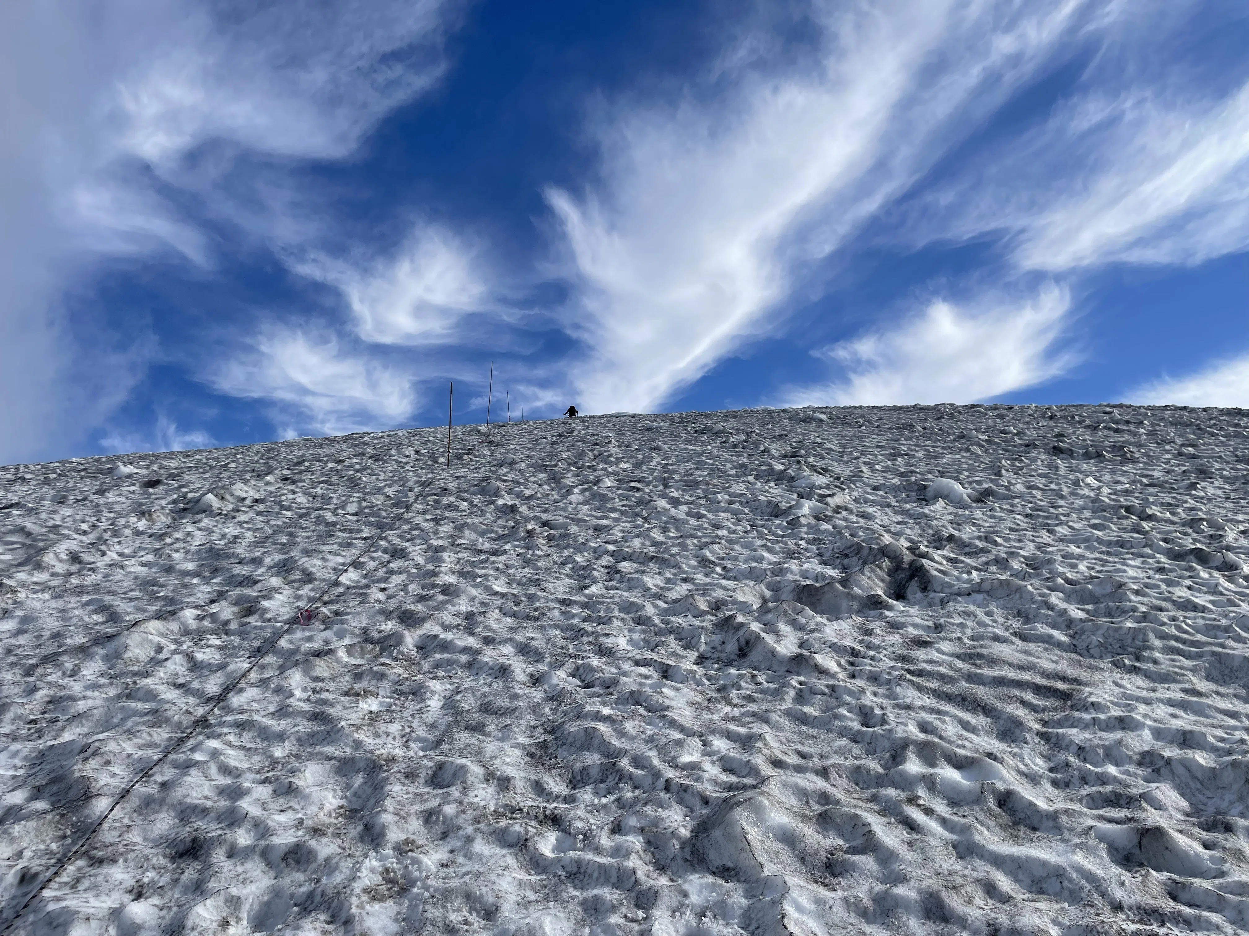 残雪と高山植物満開・月山｜ニシノトシコ