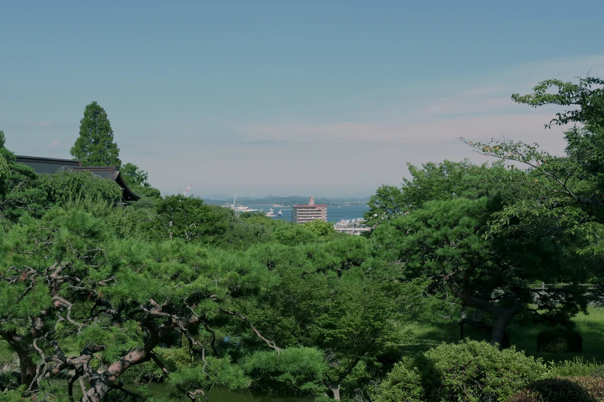 画像