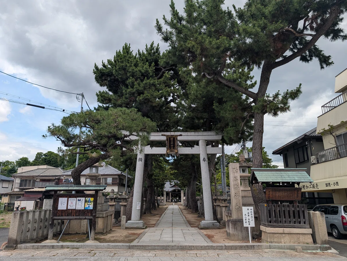 画像