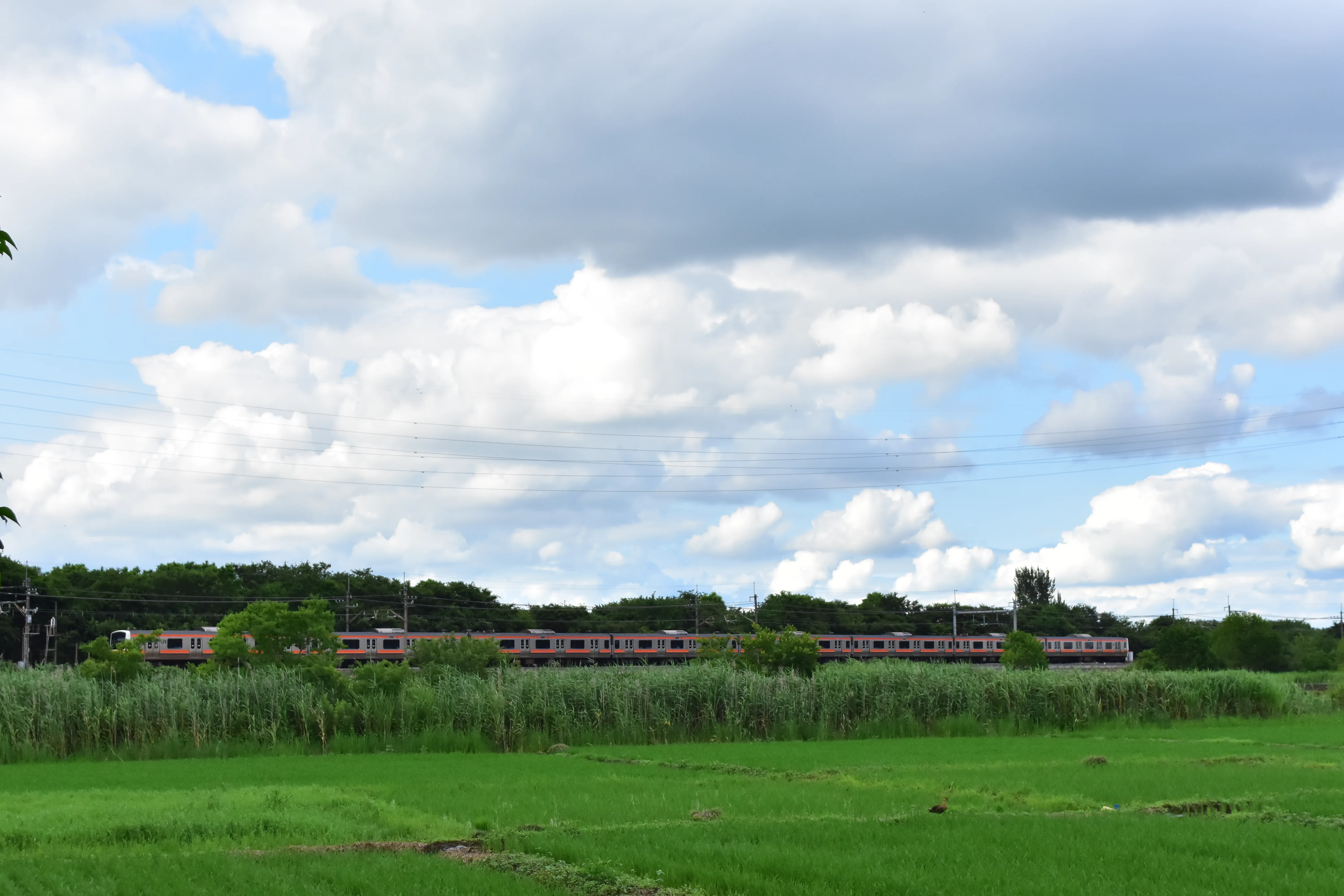44 Let's go see some scenery typical of the rainy season｜青の旅人