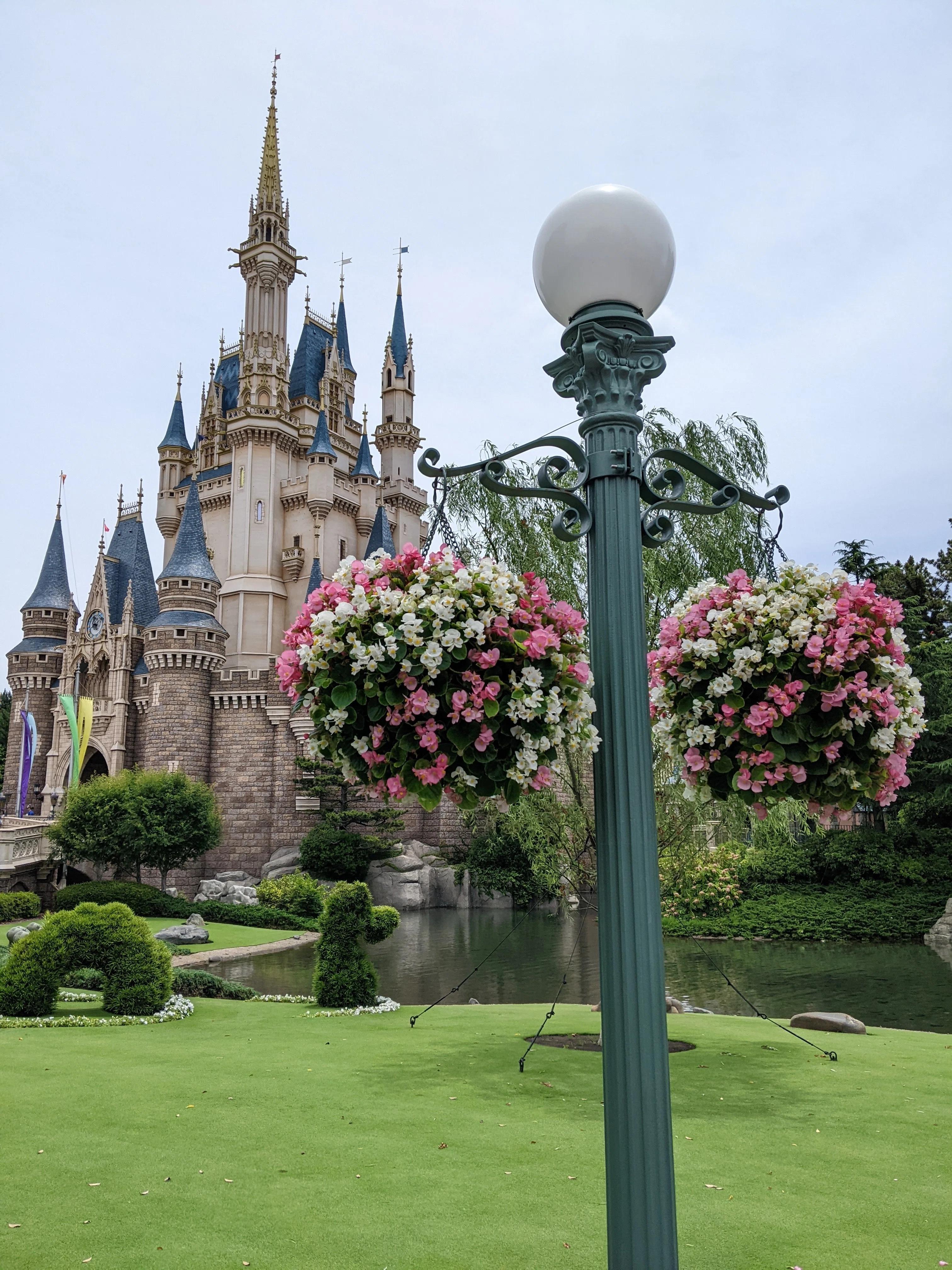 遠方組1人ディズニー2026年6月】ディズニーランド編①🪄✨過去イチ空い