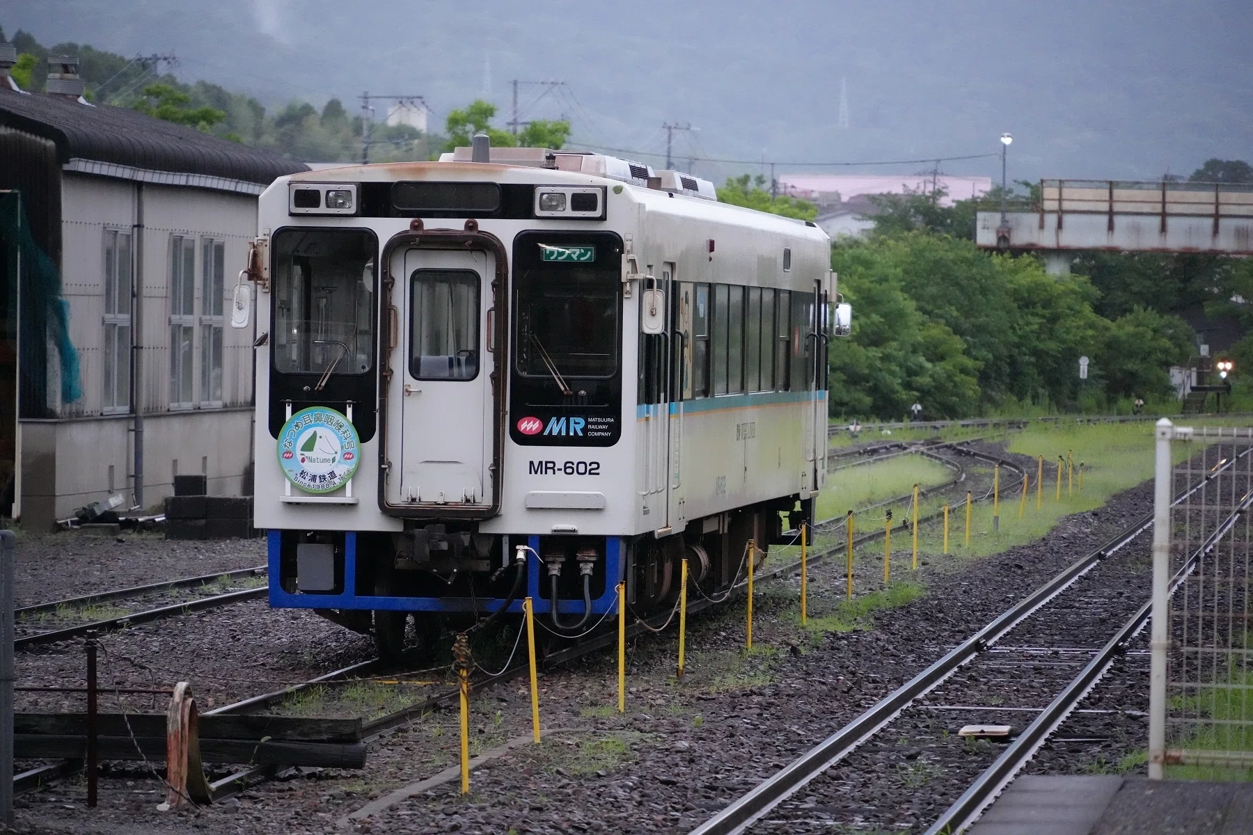 【希少】班入り蘇鉄　本物 長崎旅行4（松浦鉄道で有田まで。有田から武雄温泉、西九州新幹線