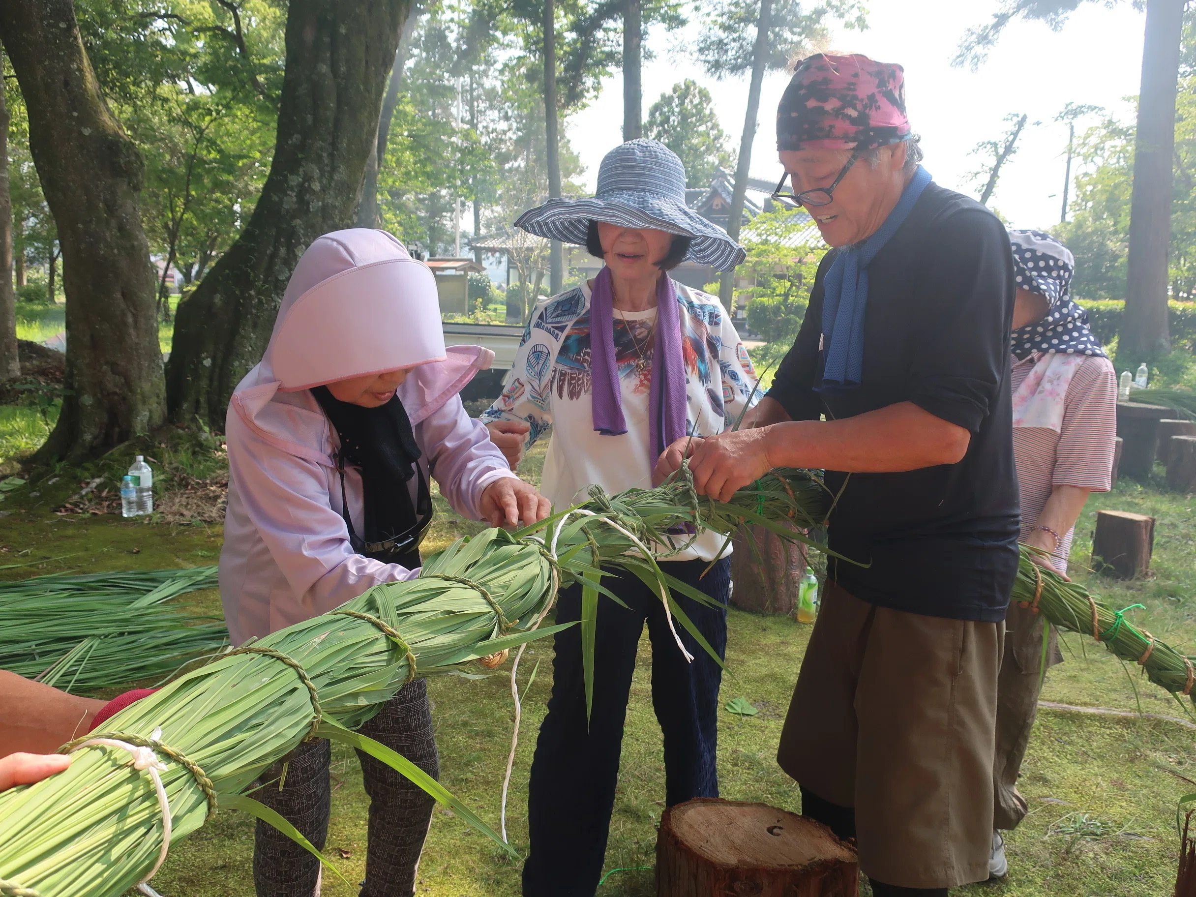 作楽神社にマコモの茅の輪を奉納 初の「夏越の祓」へ、13人が手作り