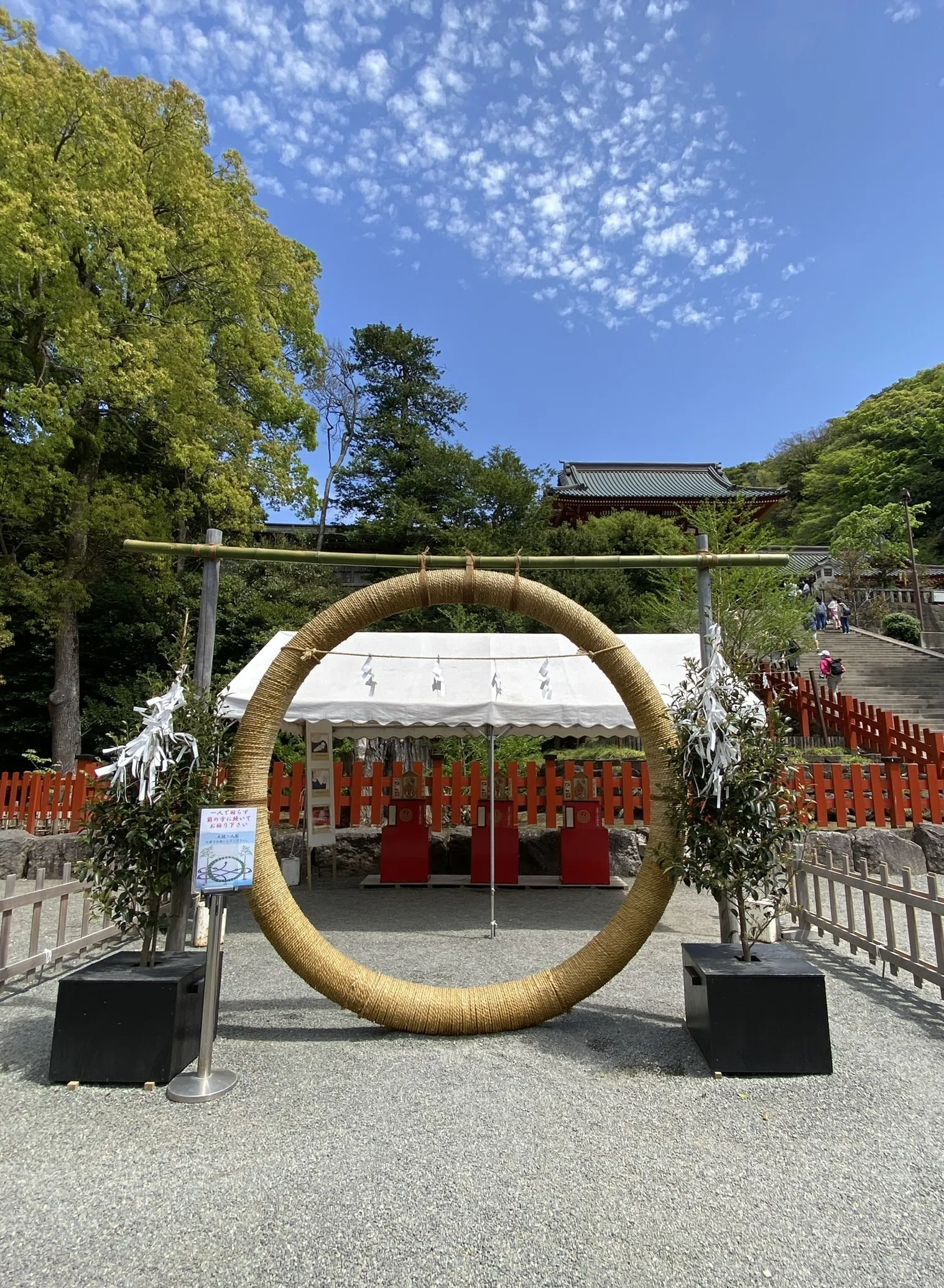 夏越の大祓──支えていただいたものへの感謝｜Rico｜神仏巡礼結び