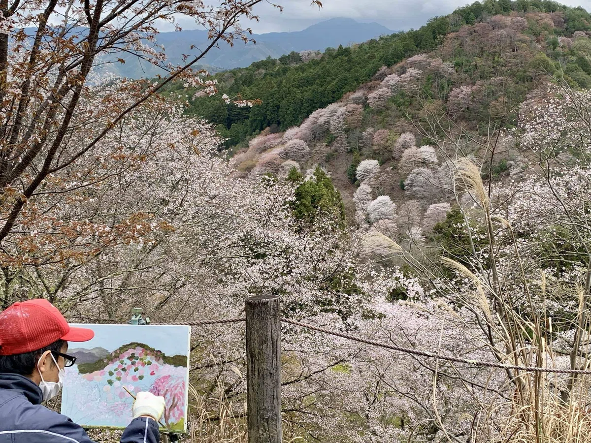画像