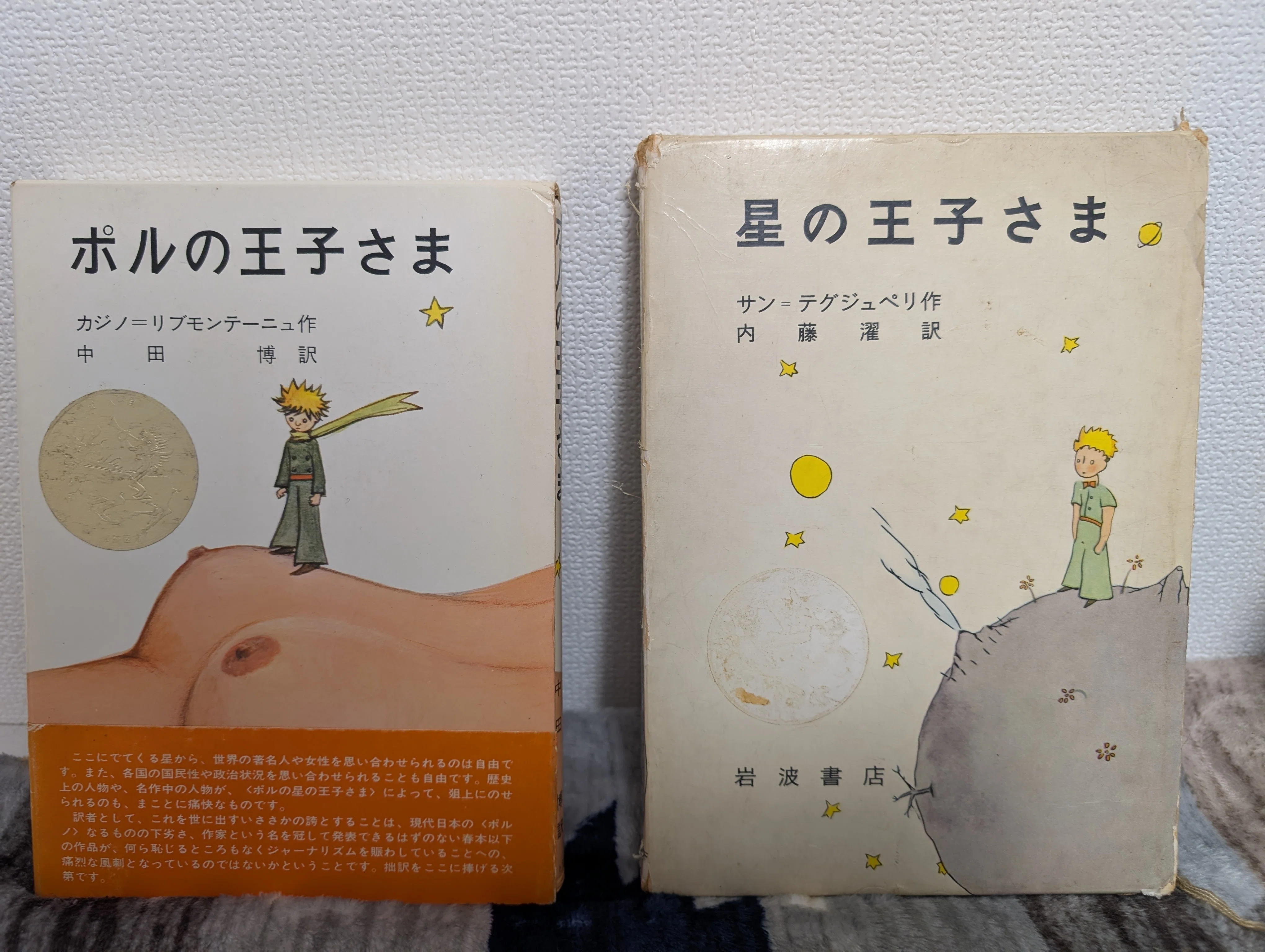 幻の奇書『ポルの王子さま』の謎を追う｜りゅ