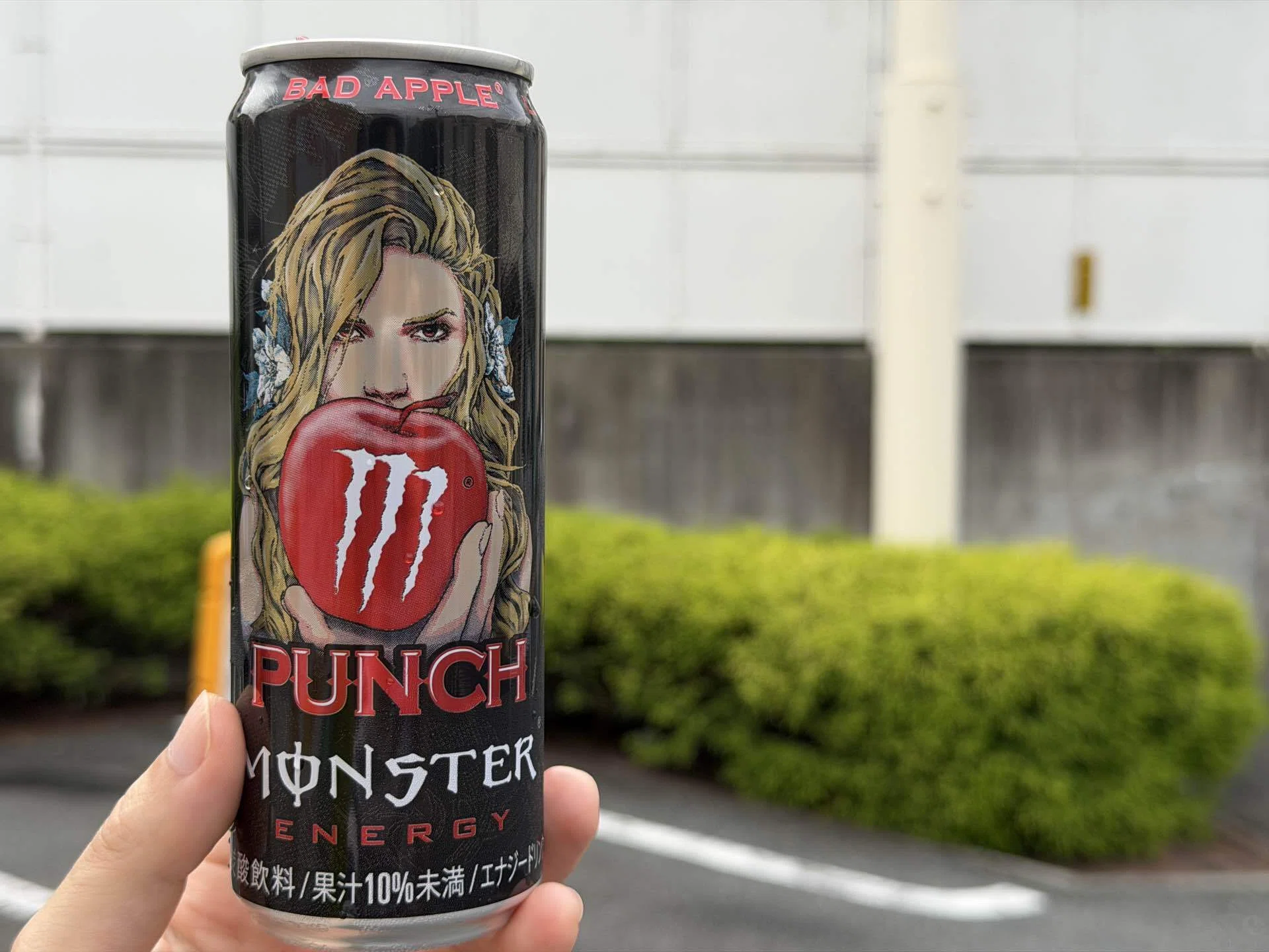 モンスターエナジー　バッドアップル　355ml×24本　2箱 モンスターエナジーバッドアップル355ml×24本2箱