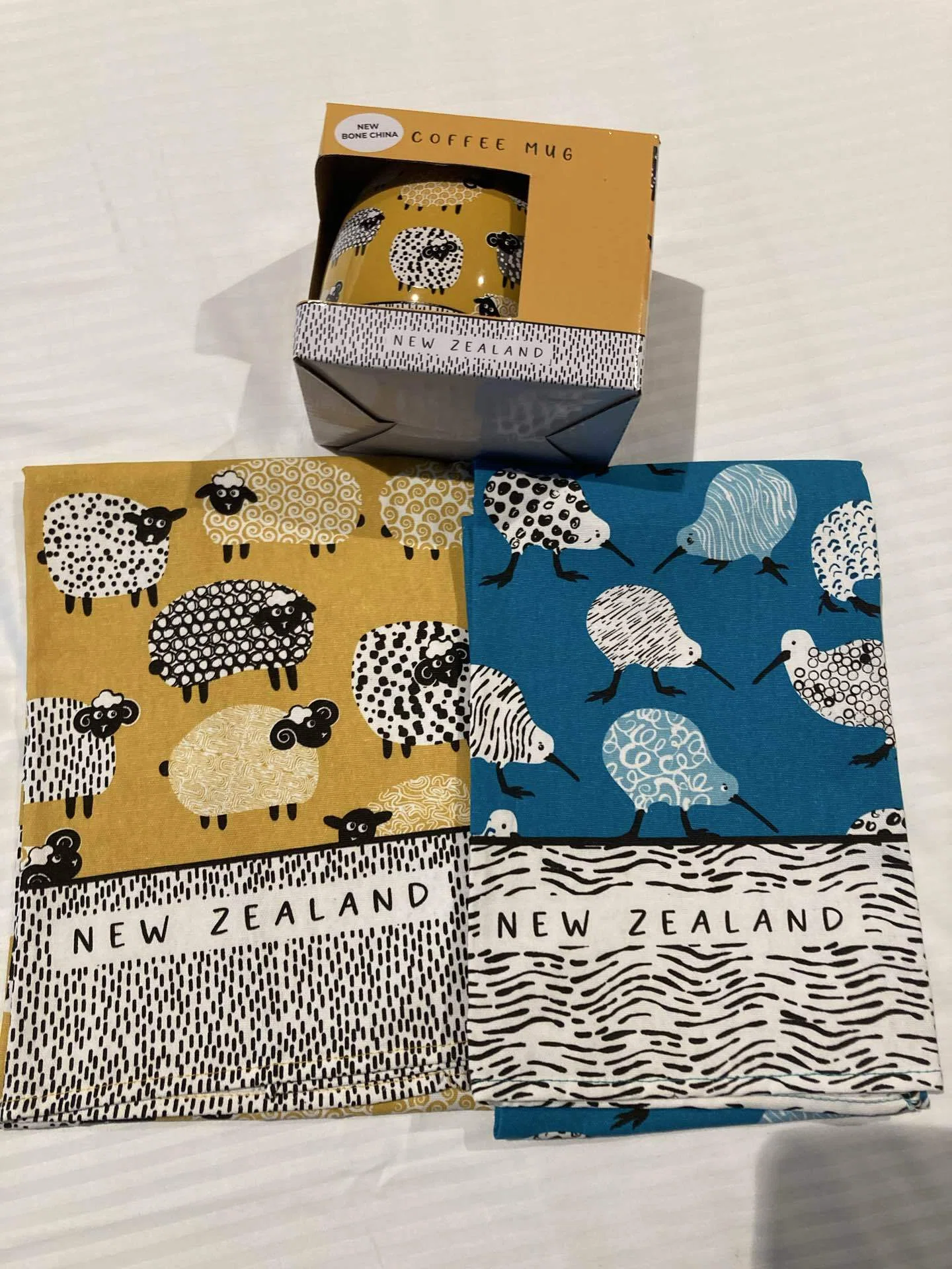 オークランド旅行記🇳🇿穏やかで上品な港町｜kiwi 🇯🇵社会人