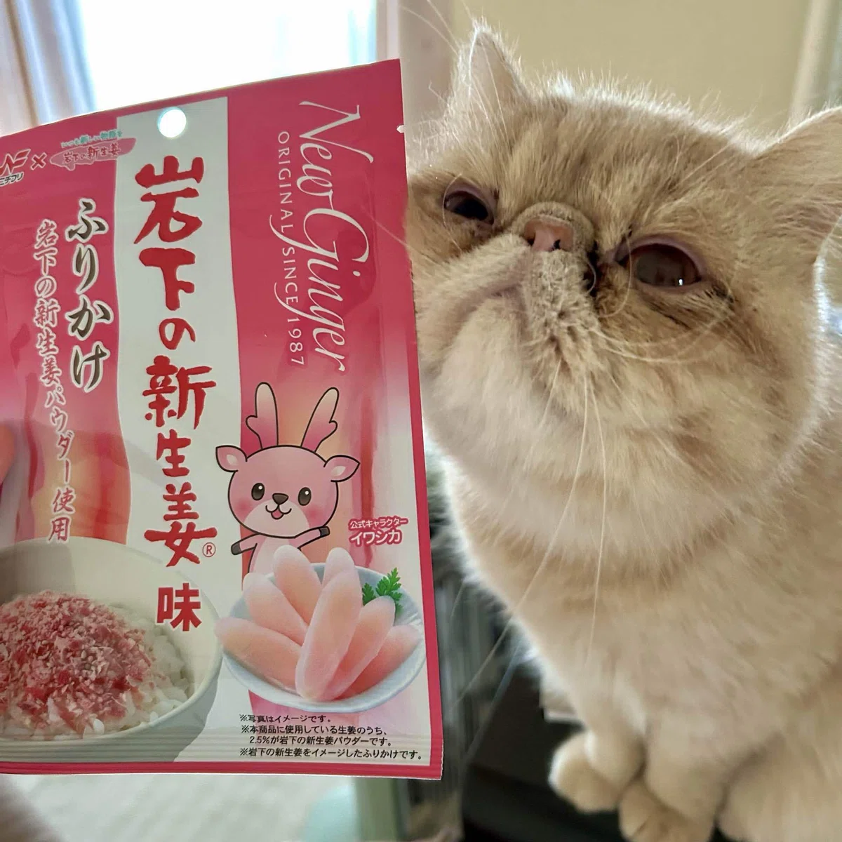 ふりかけ エキゾチックショートヘア 岩下の新生姜