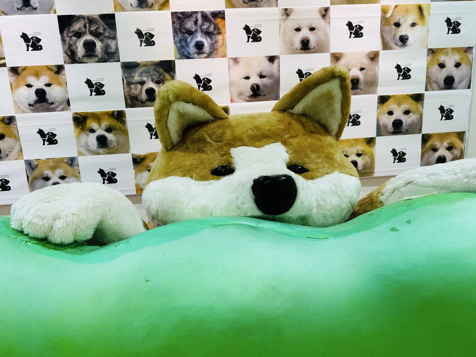 8日目】秋田犬の癒し効果はハンパない？！ -心のリハビリツアー in