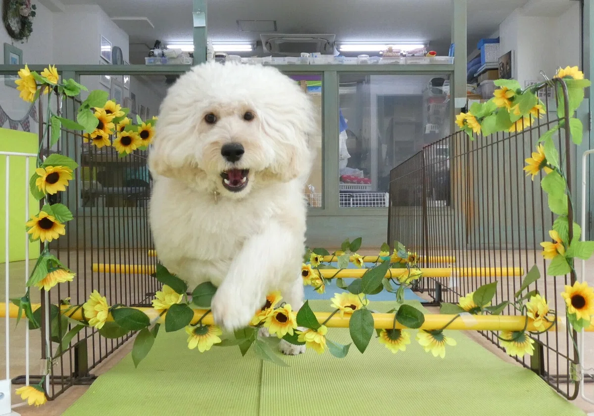 画像