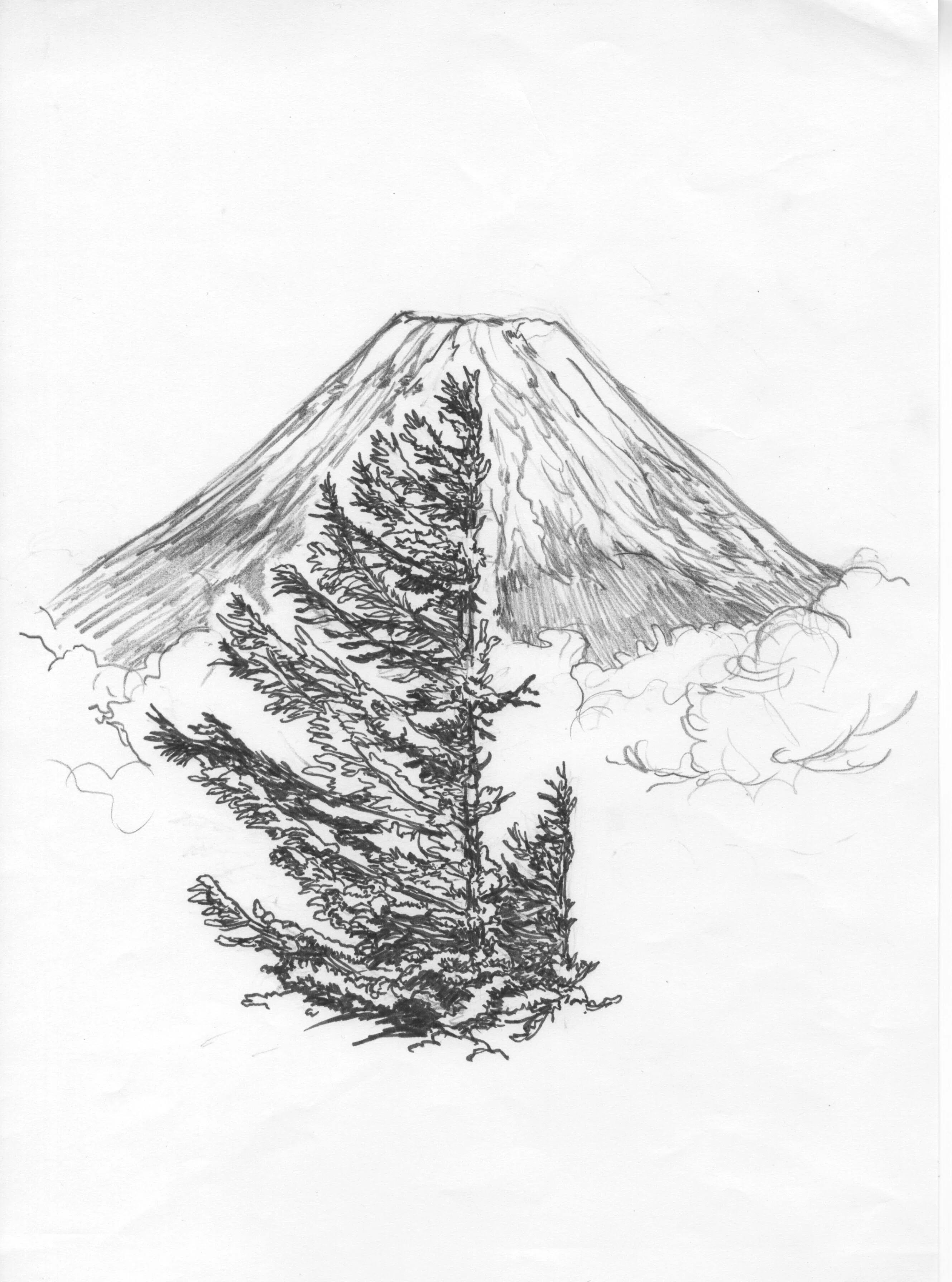 からまつ 制作編 〜下書き〜｜RISA FUKUI（福井利佐）アーティスト