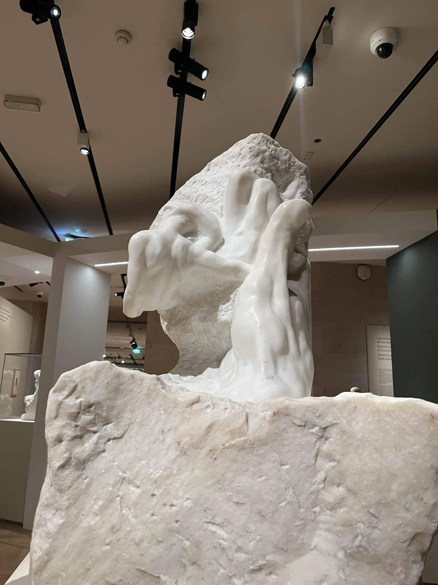 Michelangelo and Rodin: The Vitality Dwelling in the Unfinished